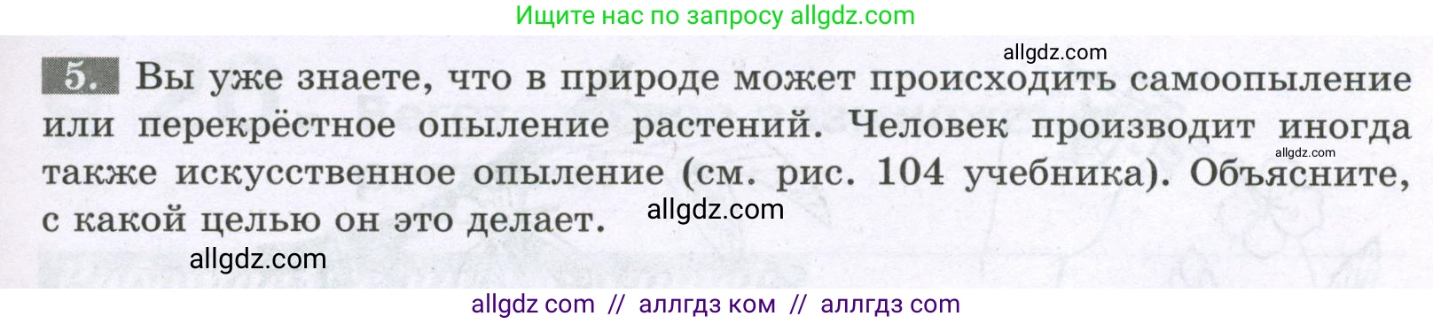 Биология, 6 класс рабочая тетрадь, авторы: Пасечник Владимир Васильевич, Суматохин Сергей Витальевич, Швецов Глеб Геннадьевич, Гапонюк Зоя Георгиевна, Косарькова Марина Викторовна, издательство Просвещение, Москва, 2023, белого цвета, страница 99, номер 5, Условие