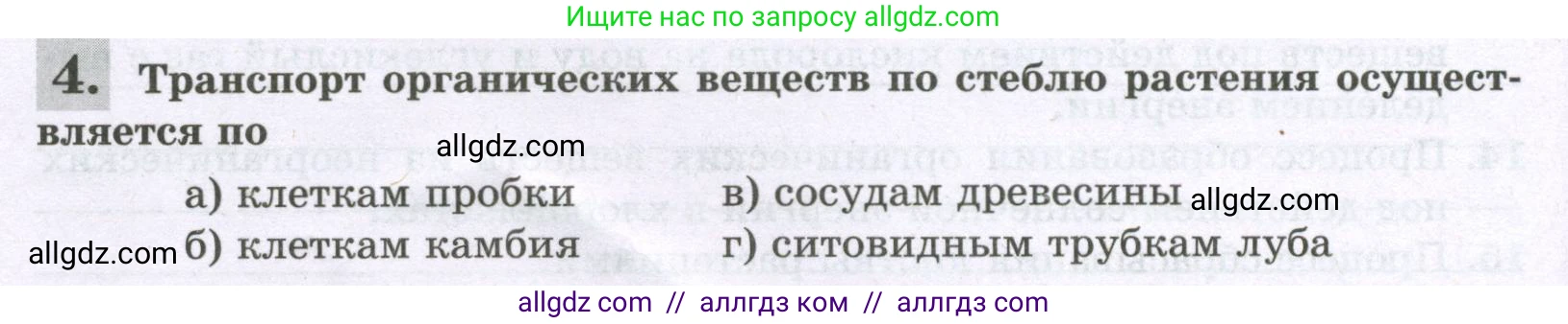 Биология, 6 класс рабочая тетрадь, авторы: Пасечник Владимир Васильевич, Суматохин Сергей Витальевич, Швецов Глеб Геннадьевич, Гапонюк Зоя Георгиевна, Косарькова Марина Викторовна, издательство Просвещение, Москва, 2023, белого цвета, страница 104, номер 4, Условие