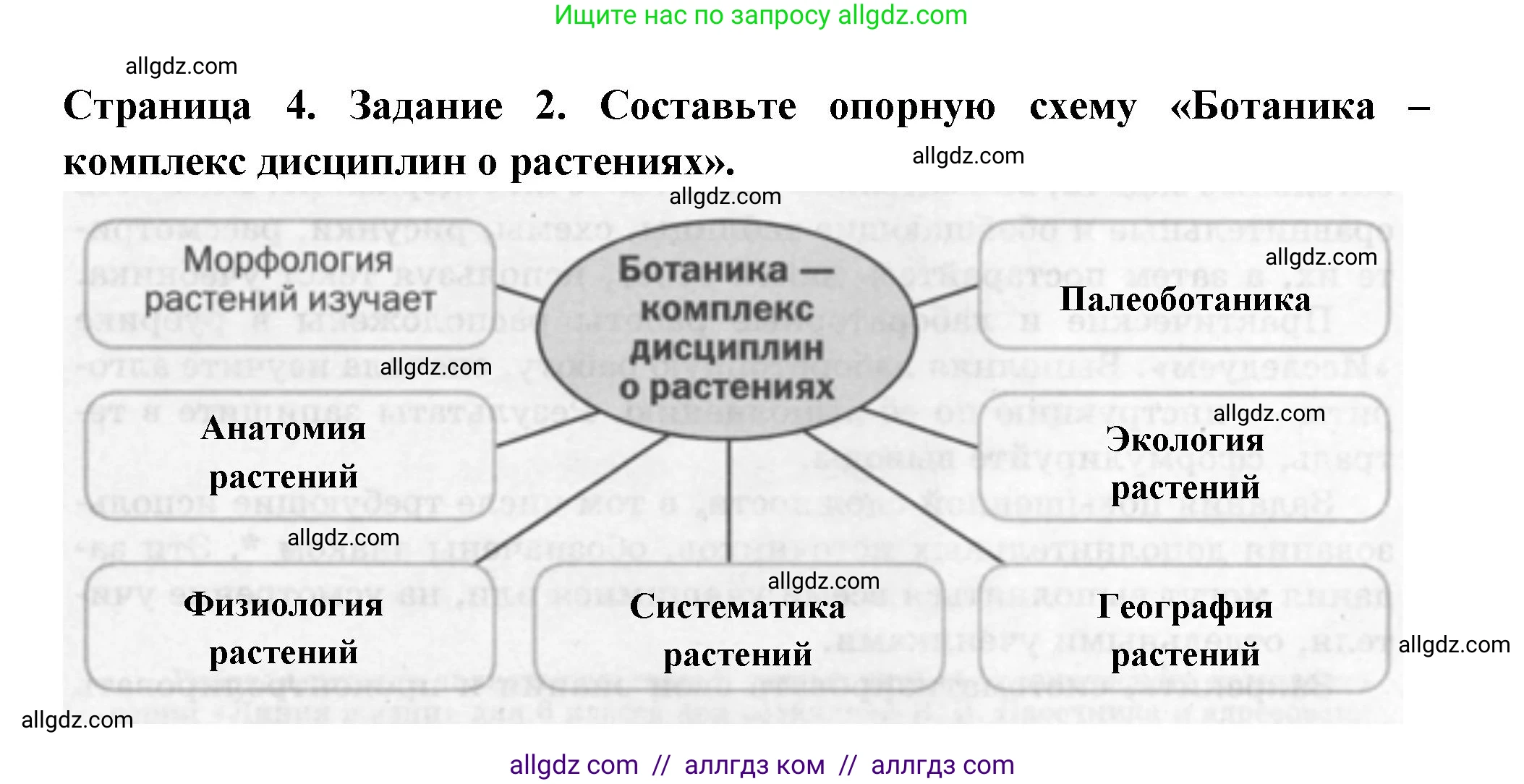 Биология, 6 класс рабочая тетрадь, авторы: Пасечник Владимир Васильевич, Суматохин Сергей Витальевич, Швецов Глеб Геннадьевич, Гапонюк Зоя Георгиевна, Косарькова Марина Викторовна, издательство Просвещение, Москва, 2023, белого цвета, страница 4, номер 2, Решение
