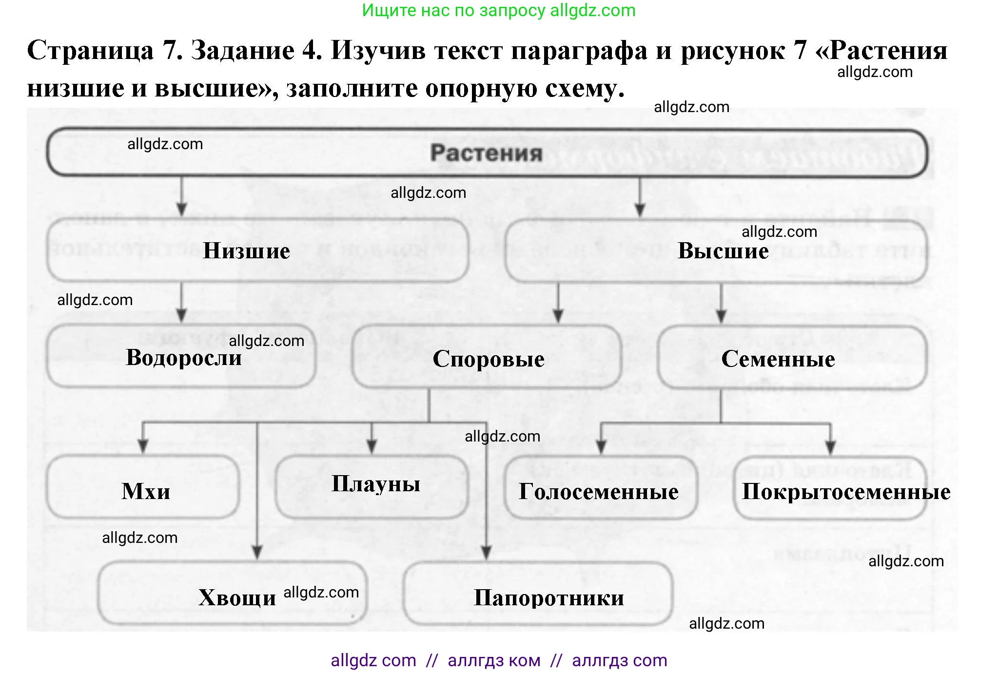 Биология, 6 класс рабочая тетрадь, авторы: Пасечник Владимир Васильевич, Суматохин Сергей Витальевич, Швецов Глеб Геннадьевич, Гапонюк Зоя Георгиевна, Косарькова Марина Викторовна, издательство Просвещение, Москва, 2023, белого цвета, страница 7, номер 4, Решение
