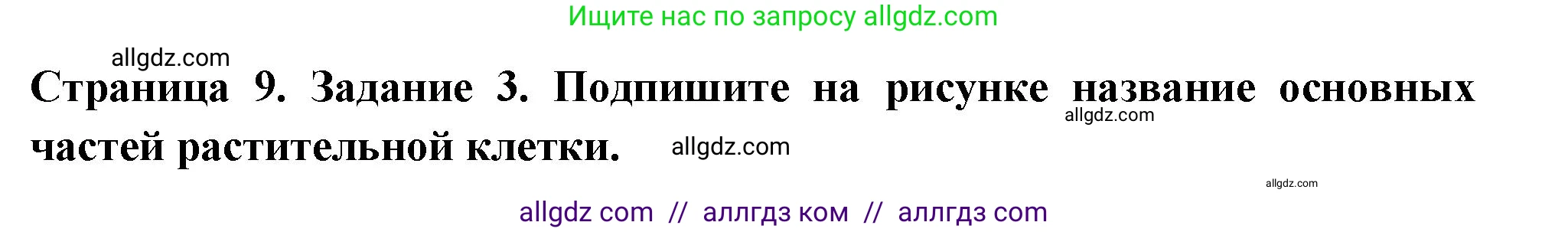 Биология, 6 класс рабочая тетрадь, авторы: Пасечник Владимир Васильевич, Суматохин Сергей Витальевич, Швецов Глеб Геннадьевич, Гапонюк Зоя Георгиевна, Косарькова Марина Викторовна, издательство Просвещение, Москва, 2023, белого цвета, страница 9, номер 3, Решение