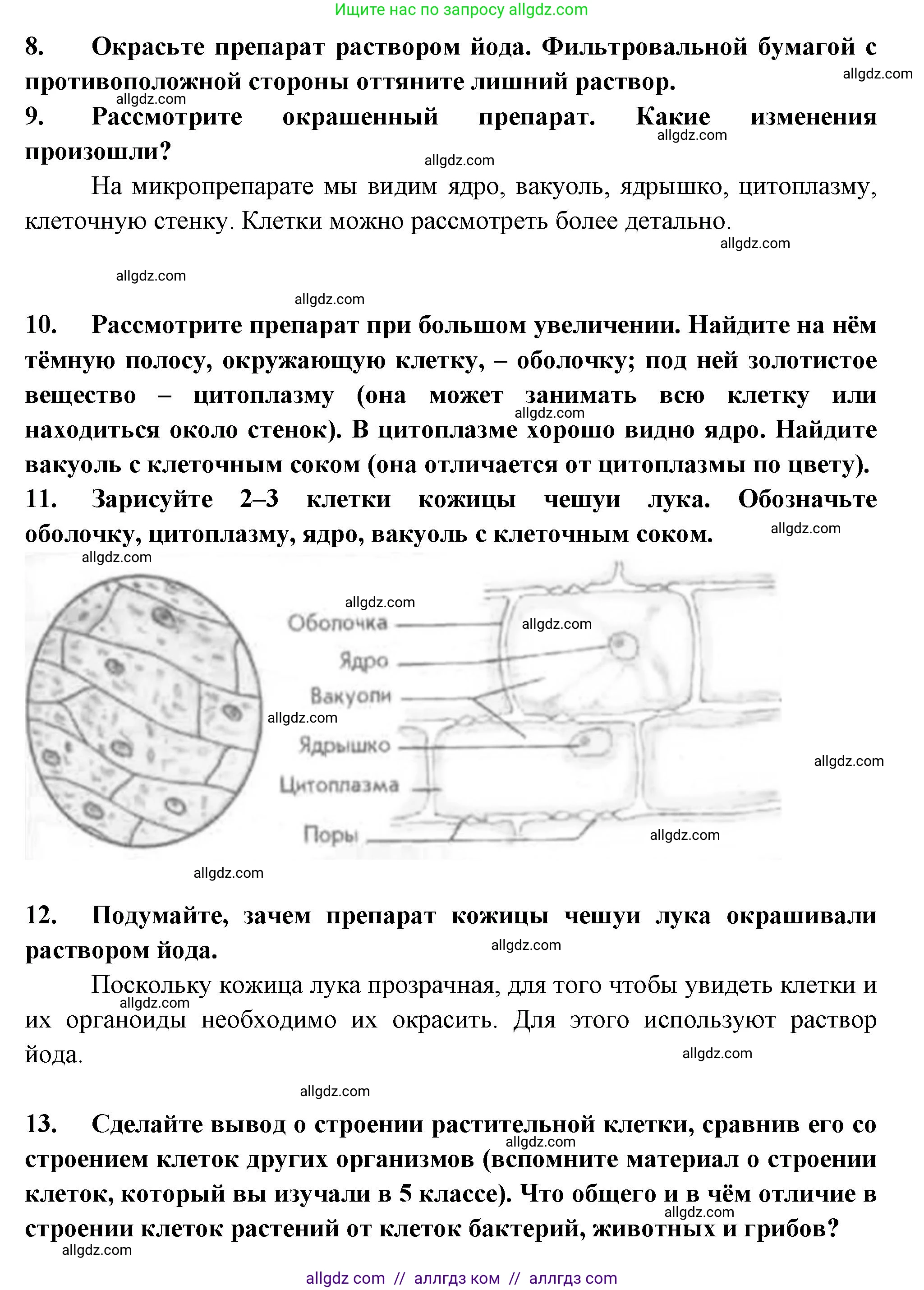 Биология, 6 класс рабочая тетрадь, авторы: Пасечник Владимир Васильевич, Суматохин Сергей Витальевич, Швецов Глеб Геннадьевич, Гапонюк Зоя Георгиевна, Косарькова Марина Викторовна, издательство Просвещение, Москва, 2023, белого цвета, страница 9, номер 4, Решение (продолжение 2)
