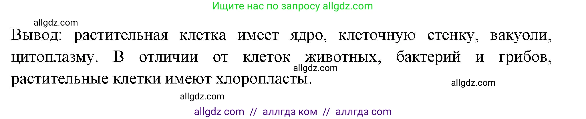 Биология, 6 класс рабочая тетрадь, авторы: Пасечник Владимир Васильевич, Суматохин Сергей Витальевич, Швецов Глеб Геннадьевич, Гапонюк Зоя Георгиевна, Косарькова Марина Викторовна, издательство Просвещение, Москва, 2023, белого цвета, страница 9, номер 4, Решение (продолжение 3)