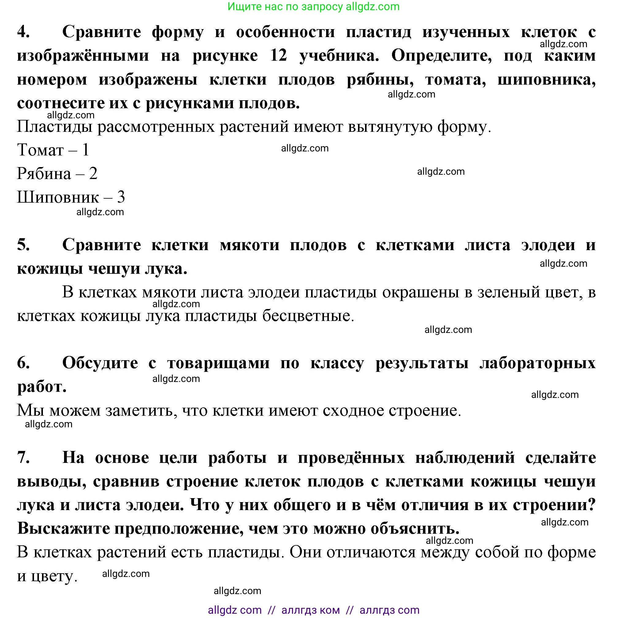 Биология, 6 класс рабочая тетрадь, авторы: Пасечник Владимир Васильевич, Суматохин Сергей Витальевич, Швецов Глеб Геннадьевич, Гапонюк Зоя Георгиевна, Косарькова Марина Викторовна, издательство Просвещение, Москва, 2023, белого цвета, страница 11, номер 5, Решение (продолжение 2)