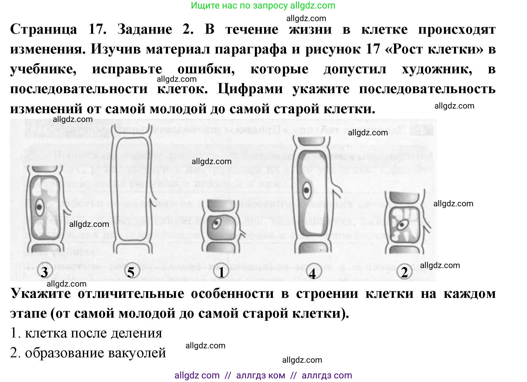 Биология, 6 класс рабочая тетрадь, авторы: Пасечник Владимир Васильевич, Суматохин Сергей Витальевич, Швецов Глеб Геннадьевич, Гапонюк Зоя Георгиевна, Косарькова Марина Викторовна, издательство Просвещение, Москва, 2023, белого цвета, страница 17, номер 2, Решение