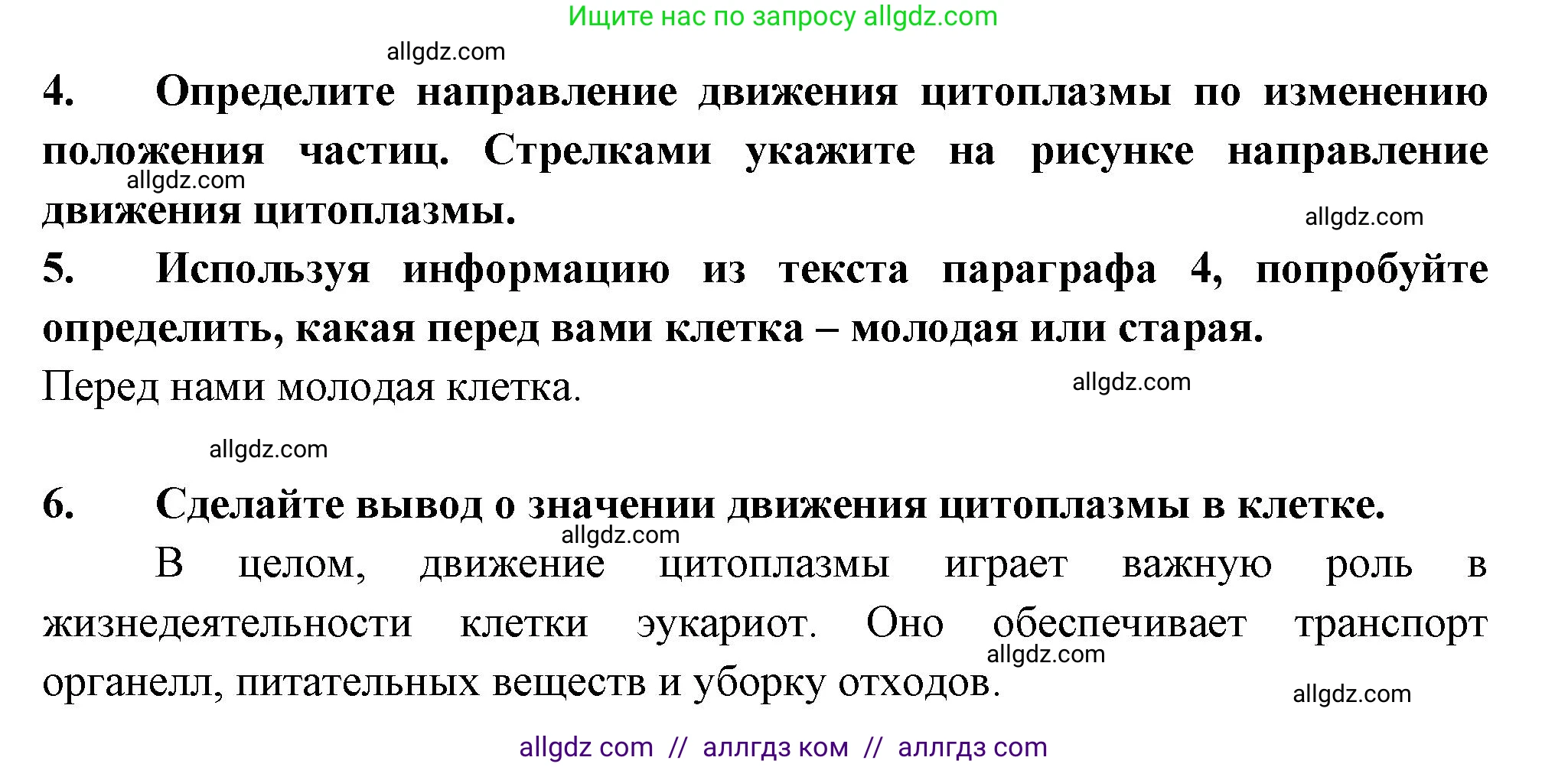 Биология, 6 класс рабочая тетрадь, авторы: Пасечник Владимир Васильевич, Суматохин Сергей Витальевич, Швецов Глеб Геннадьевич, Гапонюк Зоя Георгиевна, Косарькова Марина Викторовна, издательство Просвещение, Москва, 2023, белого цвета, страница 19, номер 7, Решение (продолжение 2)