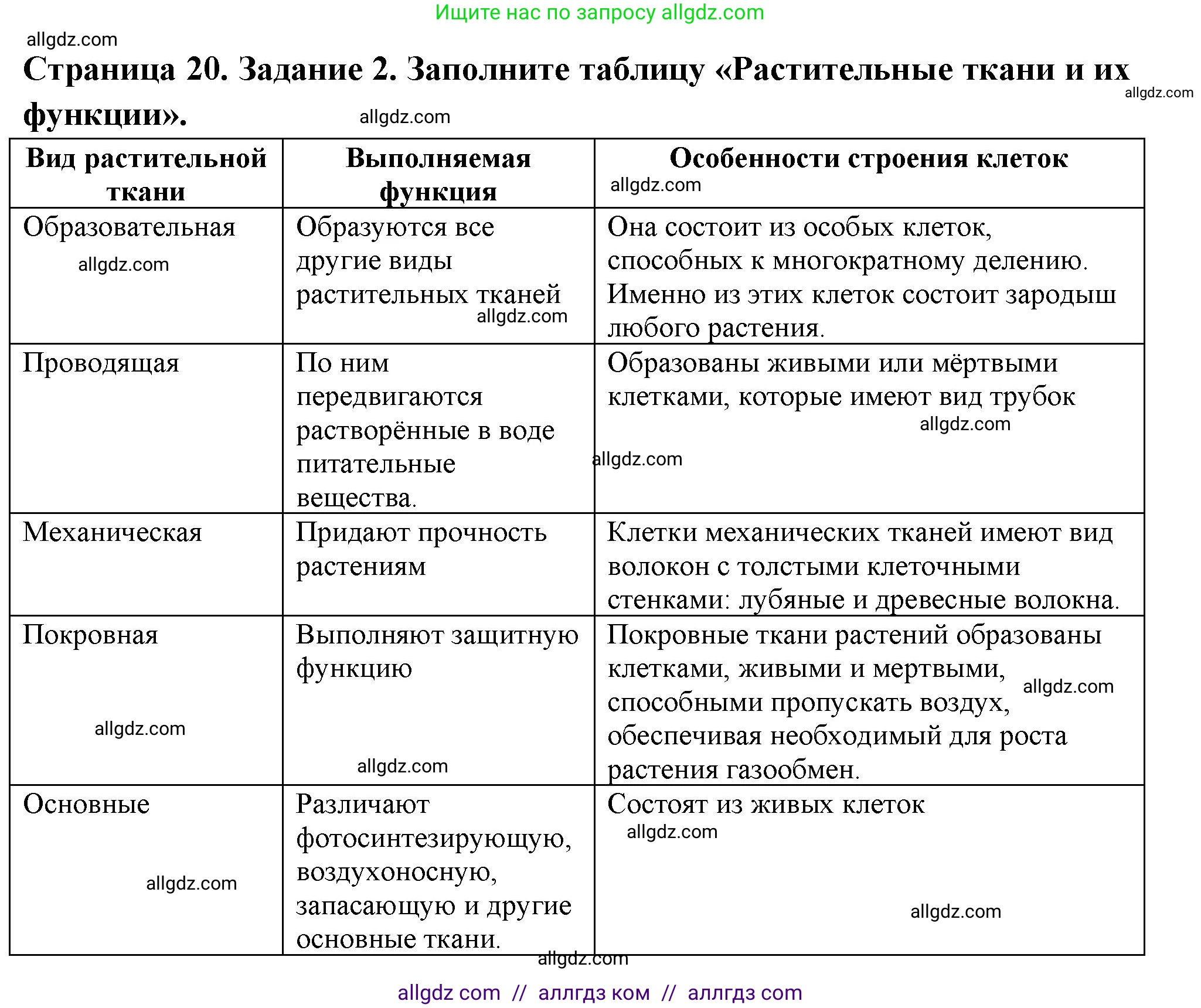 Биология, 6 класс рабочая тетрадь, авторы: Пасечник Владимир Васильевич, Суматохин Сергей Витальевич, Швецов Глеб Геннадьевич, Гапонюк Зоя Георгиевна, Косарькова Марина Викторовна, издательство Просвещение, Москва, 2023, белого цвета, страница 20, номер 2, Решение
