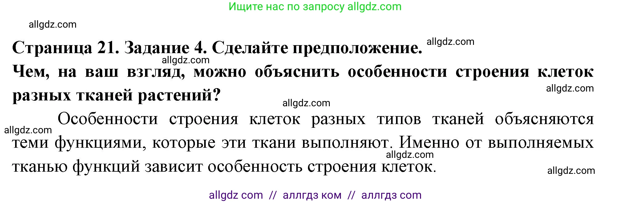 Биология, 6 класс рабочая тетрадь, авторы: Пасечник Владимир Васильевич, Суматохин Сергей Витальевич, Швецов Глеб Геннадьевич, Гапонюк Зоя Георгиевна, Косарькова Марина Викторовна, издательство Просвещение, Москва, 2023, белого цвета, страница 21, номер 4, Решение