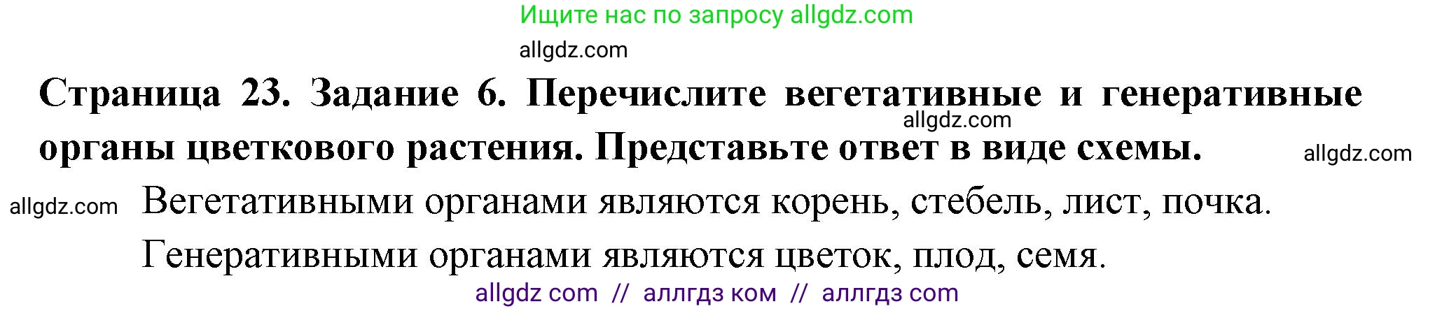 Биология, 6 класс рабочая тетрадь, авторы: Пасечник Владимир Васильевич, Суматохин Сергей Витальевич, Швецов Глеб Геннадьевич, Гапонюк Зоя Георгиевна, Косарькова Марина Викторовна, издательство Просвещение, Москва, 2023, белого цвета, страница 23, номер 6, Решение