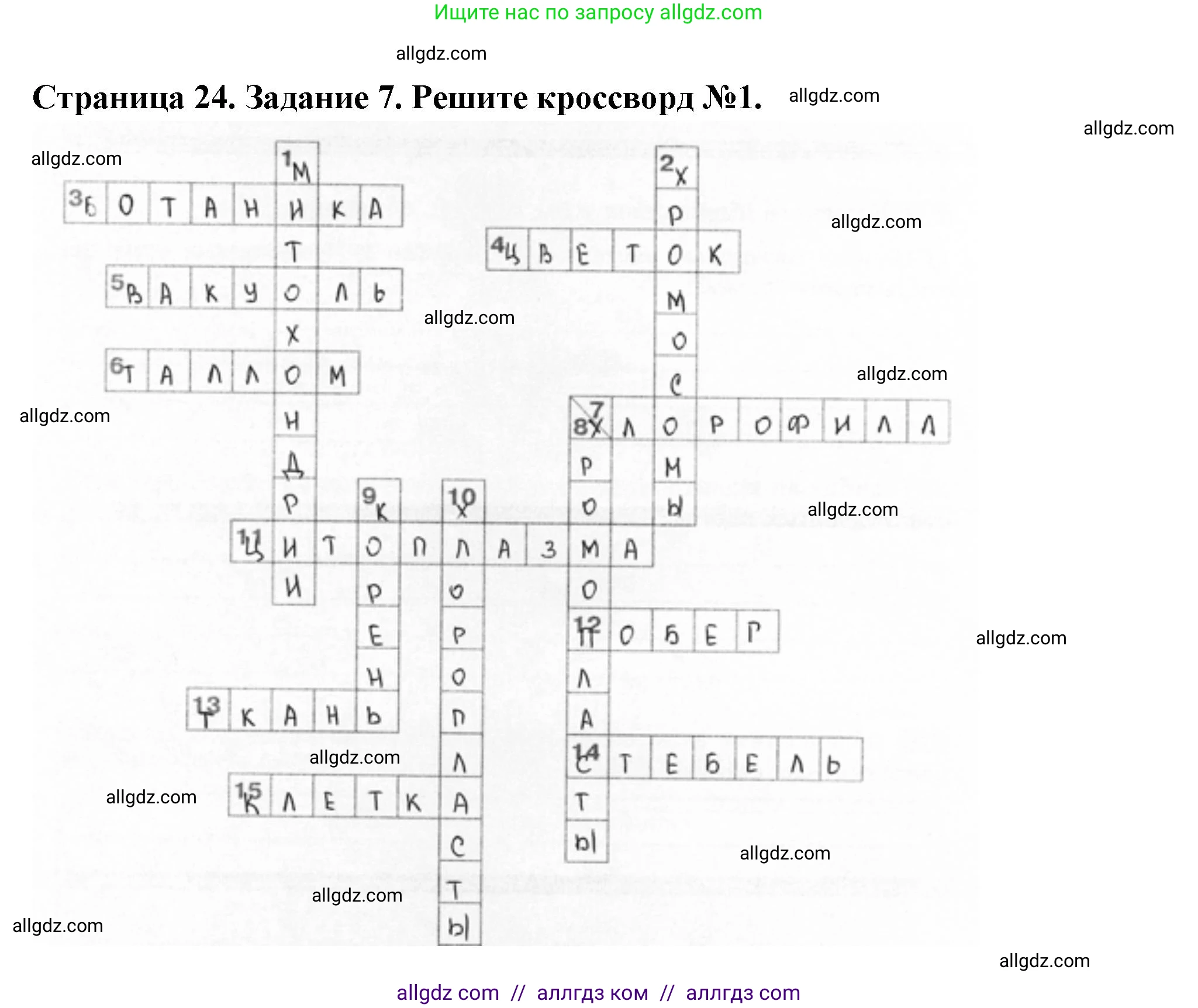 Биология, 6 класс рабочая тетрадь, авторы: Пасечник Владимир Васильевич, Суматохин Сергей Витальевич, Швецов Глеб Геннадьевич, Гапонюк Зоя Георгиевна, Косарькова Марина Викторовна, издательство Просвещение, Москва, 2023, белого цвета, страница 24, номер 7, Решение