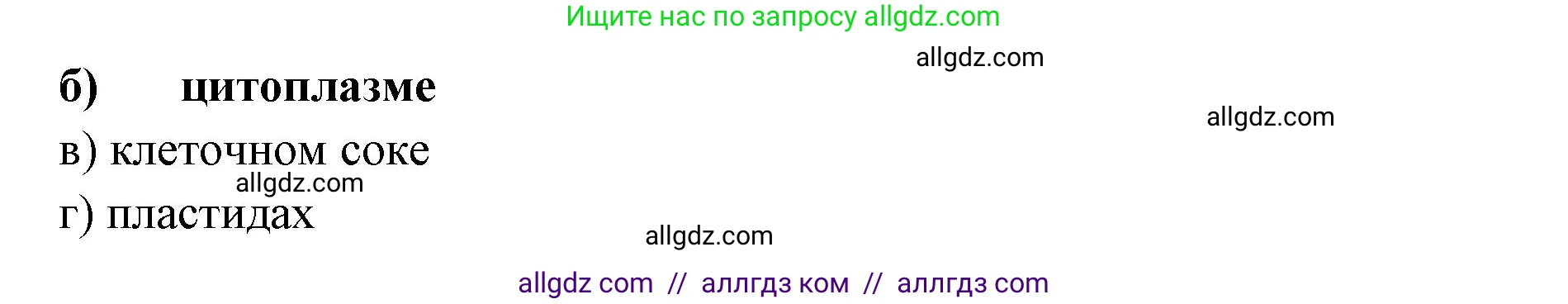 Биология, 6 класс рабочая тетрадь, авторы: Пасечник Владимир Васильевич, Суматохин Сергей Витальевич, Швецов Глеб Геннадьевич, Гапонюк Зоя Георгиевна, Косарькова Марина Викторовна, издательство Просвещение, Москва, 2023, белого цвета, страница 26, номер 5, Решение (продолжение 2)