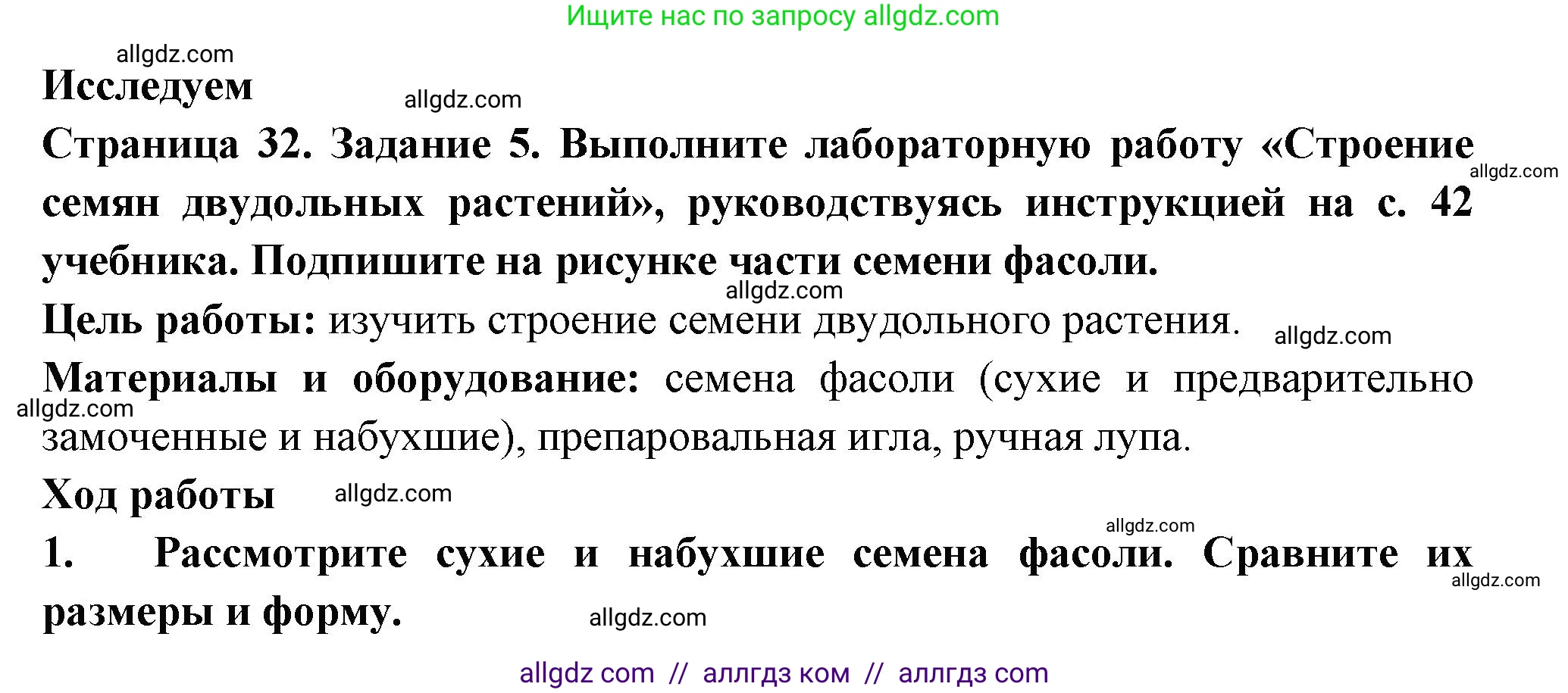 Биология, 6 класс рабочая тетрадь, авторы: Пасечник Владимир Васильевич, Суматохин Сергей Витальевич, Швецов Глеб Геннадьевич, Гапонюк Зоя Георгиевна, Косарькова Марина Викторовна, издательство Просвещение, Москва, 2023, белого цвета, страница 32, номер 5, Решение