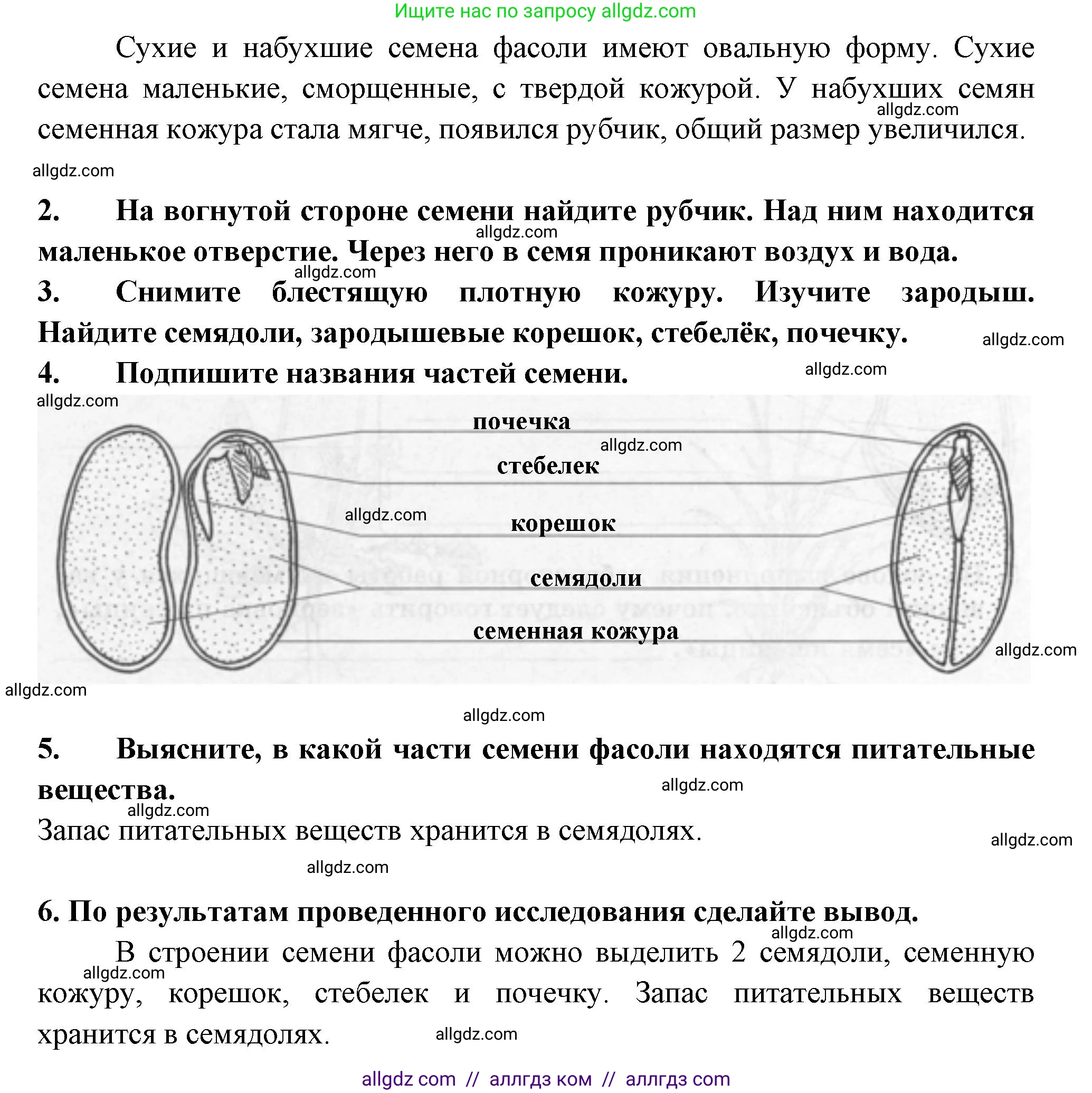 Биология, 6 класс рабочая тетрадь, авторы: Пасечник Владимир Васильевич, Суматохин Сергей Витальевич, Швецов Глеб Геннадьевич, Гапонюк Зоя Георгиевна, Косарькова Марина Викторовна, издательство Просвещение, Москва, 2023, белого цвета, страница 32, номер 5, Решение (продолжение 2)