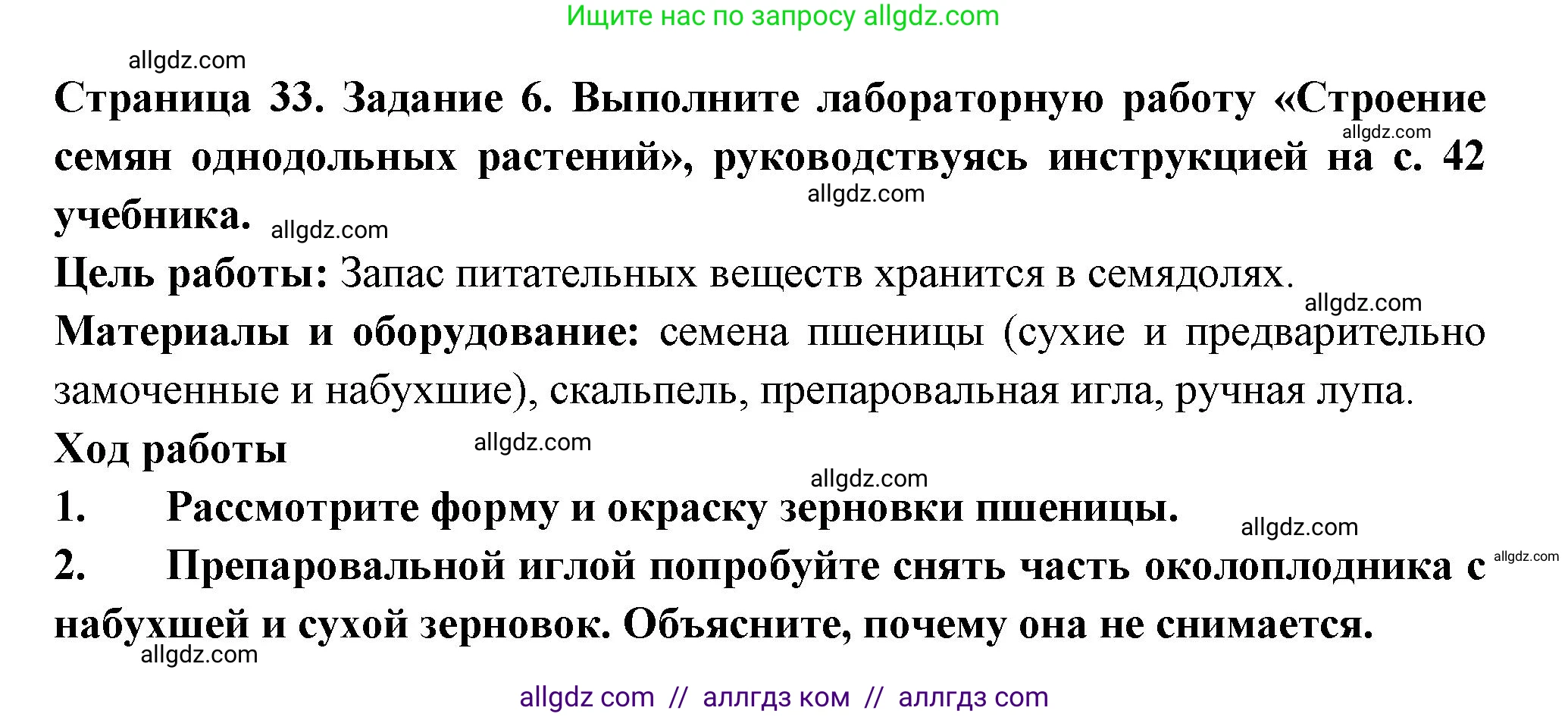Биология, 6 класс рабочая тетрадь, авторы: Пасечник Владимир Васильевич, Суматохин Сергей Витальевич, Швецов Глеб Геннадьевич, Гапонюк Зоя Георгиевна, Косарькова Марина Викторовна, издательство Просвещение, Москва, 2023, белого цвета, страница 33, номер 6, Решение