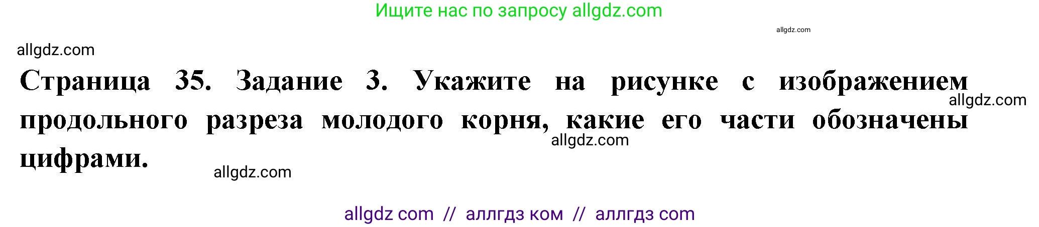 Биология, 6 класс рабочая тетрадь, авторы: Пасечник Владимир Васильевич, Суматохин Сергей Витальевич, Швецов Глеб Геннадьевич, Гапонюк Зоя Георгиевна, Косарькова Марина Викторовна, издательство Просвещение, Москва, 2023, белого цвета, страница 35, номер 3, Решение