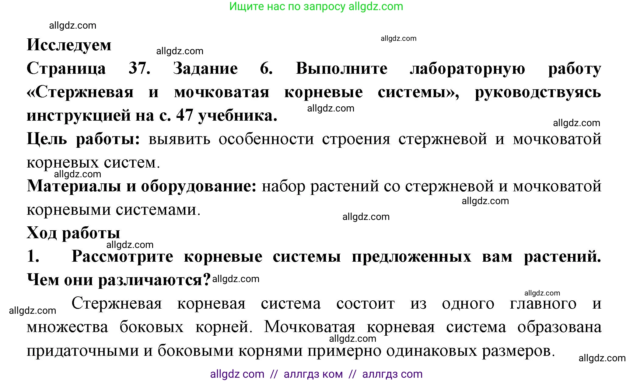 Биология, 6 класс рабочая тетрадь, авторы: Пасечник Владимир Васильевич, Суматохин Сергей Витальевич, Швецов Глеб Геннадьевич, Гапонюк Зоя Георгиевна, Косарькова Марина Викторовна, издательство Просвещение, Москва, 2023, белого цвета, страница 37, номер 6, Решение