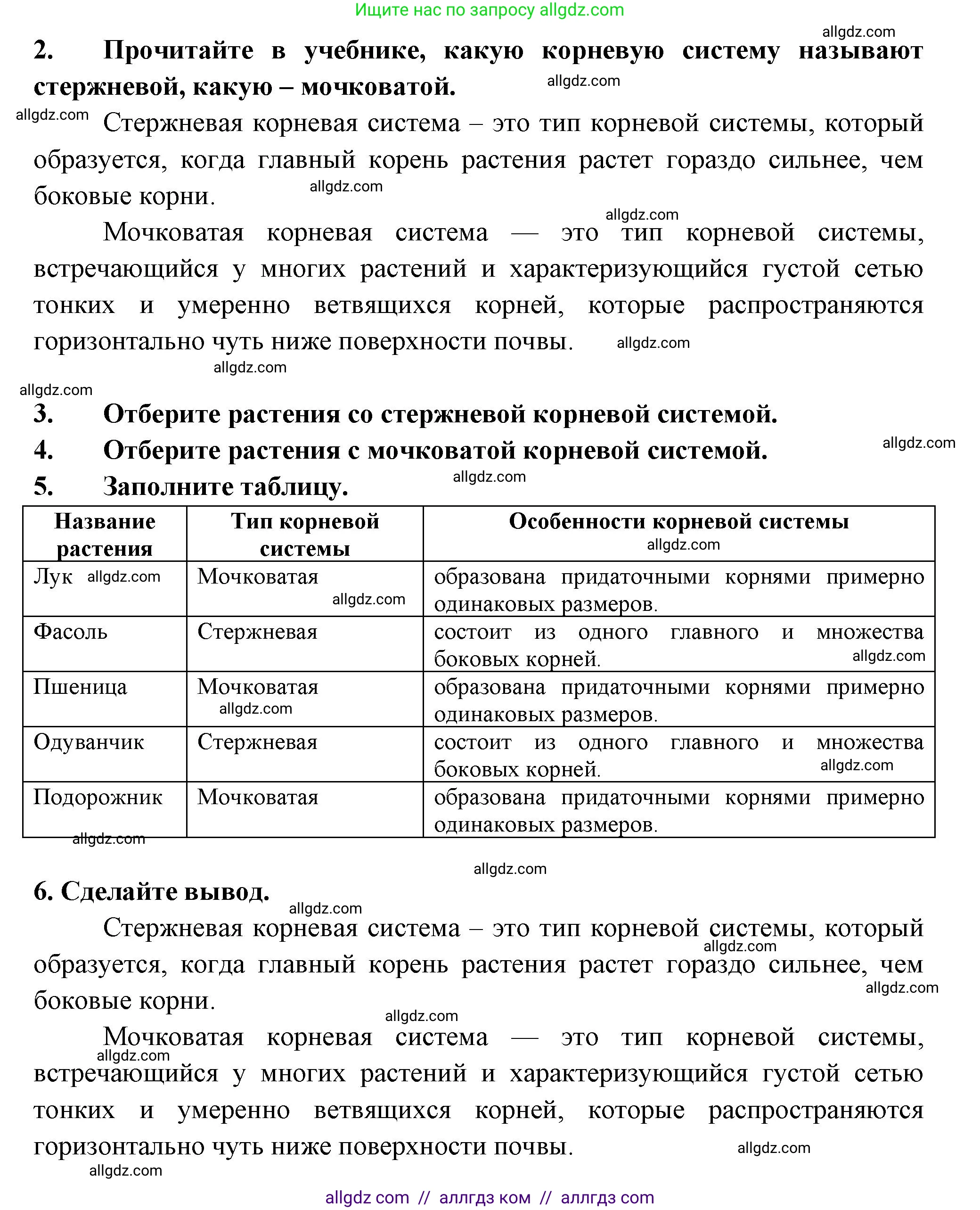 Биология, 6 класс рабочая тетрадь, авторы: Пасечник Владимир Васильевич, Суматохин Сергей Витальевич, Швецов Глеб Геннадьевич, Гапонюк Зоя Георгиевна, Косарькова Марина Викторовна, издательство Просвещение, Москва, 2023, белого цвета, страница 37, номер 6, Решение (продолжение 2)