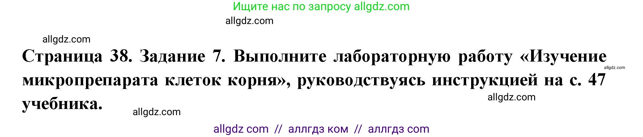Биология, 6 класс рабочая тетрадь, авторы: Пасечник Владимир Васильевич, Суматохин Сергей Витальевич, Швецов Глеб Геннадьевич, Гапонюк Зоя Георгиевна, Косарькова Марина Викторовна, издательство Просвещение, Москва, 2023, белого цвета, страница 38, номер 7, Решение