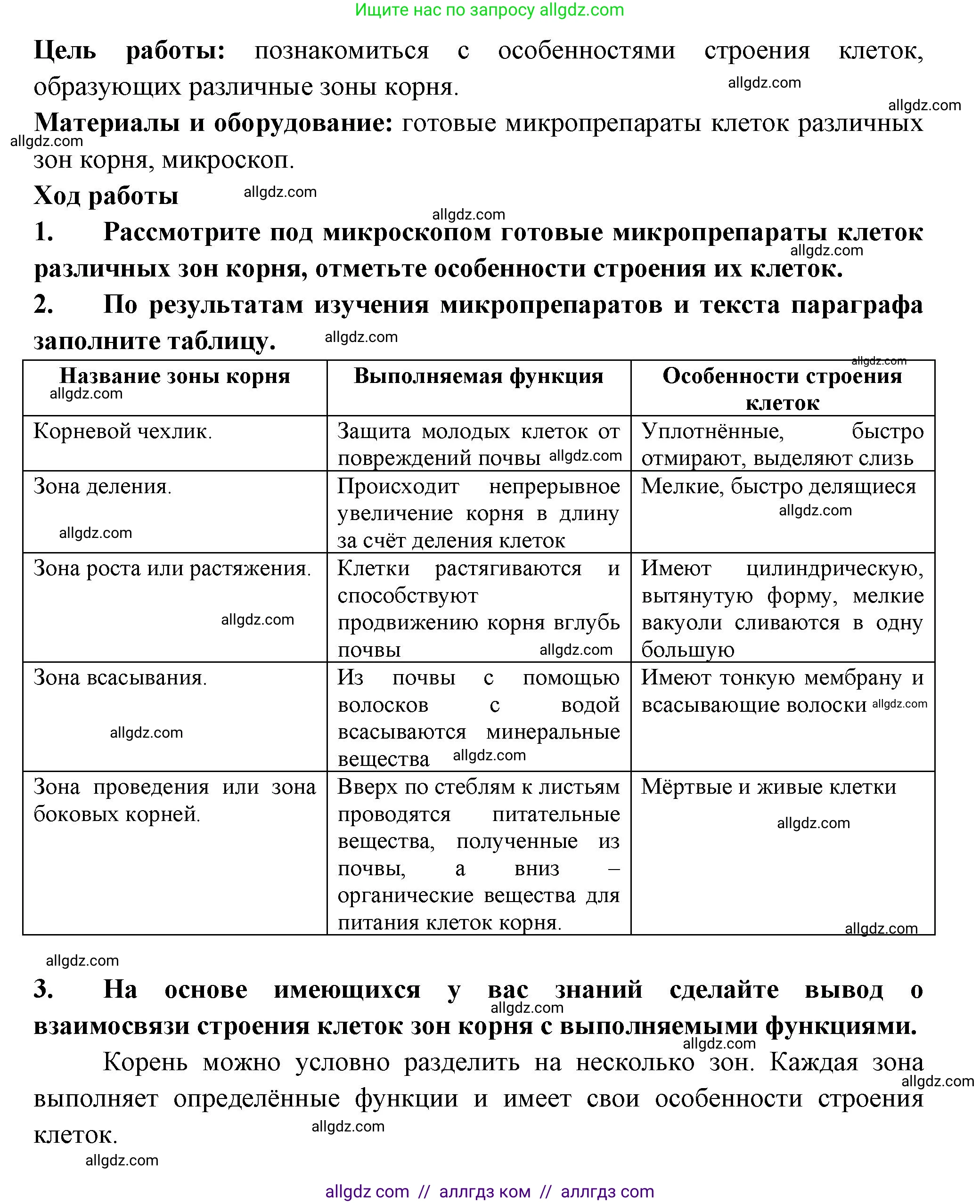 Биология, 6 класс рабочая тетрадь, авторы: Пасечник Владимир Васильевич, Суматохин Сергей Витальевич, Швецов Глеб Геннадьевич, Гапонюк Зоя Георгиевна, Косарькова Марина Викторовна, издательство Просвещение, Москва, 2023, белого цвета, страница 38, номер 7, Решение (продолжение 2)