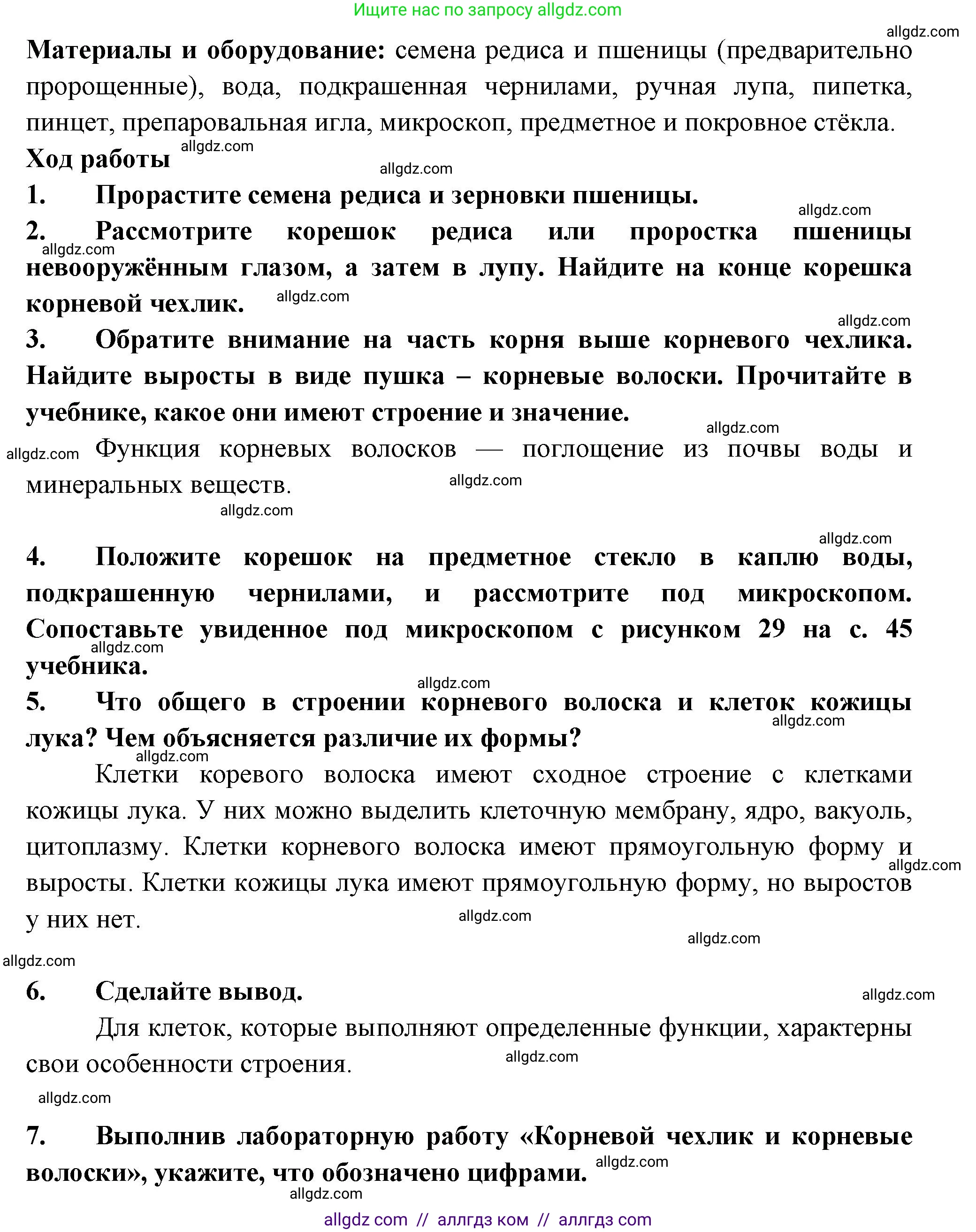 Биология, 6 класс рабочая тетрадь, авторы: Пасечник Владимир Васильевич, Суматохин Сергей Витальевич, Швецов Глеб Геннадьевич, Гапонюк Зоя Георгиевна, Косарькова Марина Викторовна, издательство Просвещение, Москва, 2023, белого цвета, страница 39, номер 8, Решение (продолжение 2)