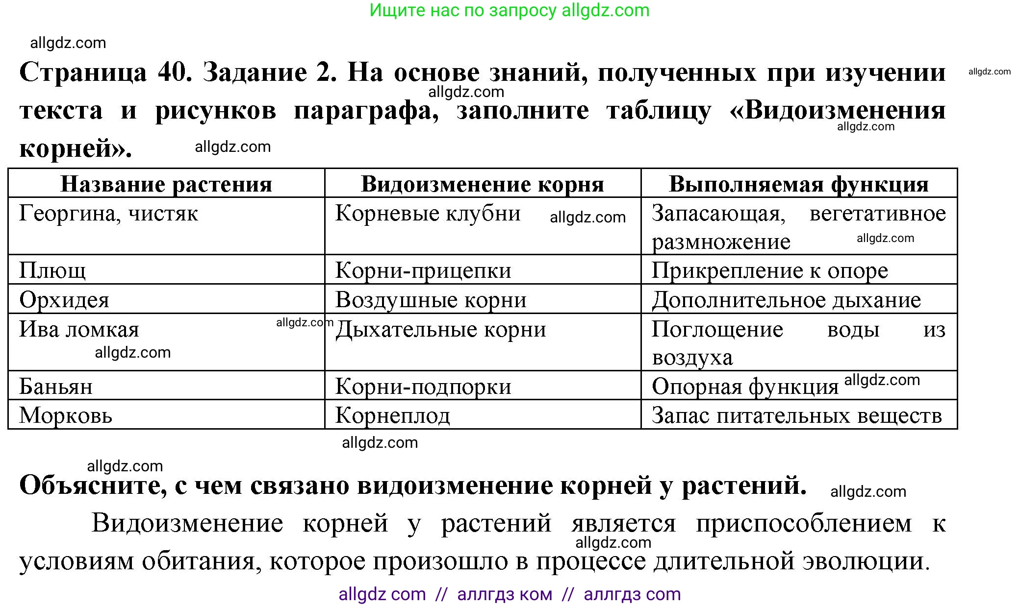 Биология, 6 класс рабочая тетрадь, авторы: Пасечник Владимир Васильевич, Суматохин Сергей Витальевич, Швецов Глеб Геннадьевич, Гапонюк Зоя Георгиевна, Косарькова Марина Викторовна, издательство Просвещение, Москва, 2023, белого цвета, страница 40, номер 2, Решение