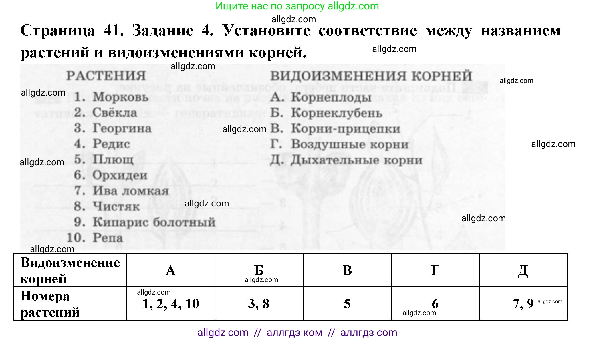 Биология, 6 класс рабочая тетрадь, авторы: Пасечник Владимир Васильевич, Суматохин Сергей Витальевич, Швецов Глеб Геннадьевич, Гапонюк Зоя Георгиевна, Косарькова Марина Викторовна, издательство Просвещение, Москва, 2023, белого цвета, страница 41, номер 4, Решение