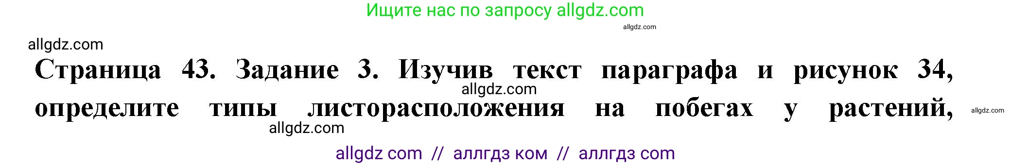 Биология, 6 класс рабочая тетрадь, авторы: Пасечник Владимир Васильевич, Суматохин Сергей Витальевич, Швецов Глеб Геннадьевич, Гапонюк Зоя Георгиевна, Косарькова Марина Викторовна, издательство Просвещение, Москва, 2023, белого цвета, страница 43, номер 3, Решение