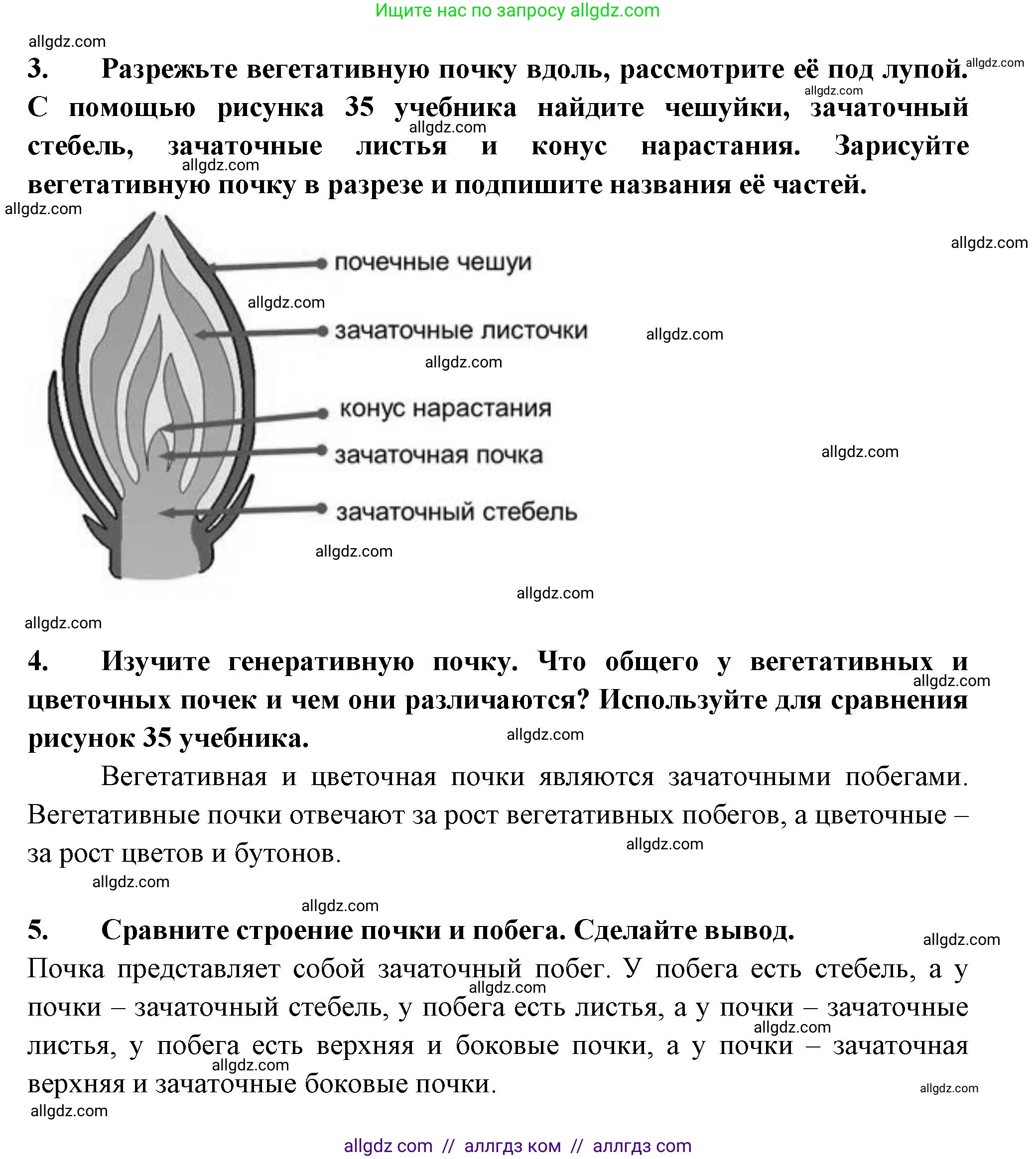 Биология, 6 класс рабочая тетрадь, авторы: Пасечник Владимир Васильевич, Суматохин Сергей Витальевич, Швецов Глеб Геннадьевич, Гапонюк Зоя Георгиевна, Косарькова Марина Викторовна, издательство Просвещение, Москва, 2023, белого цвета, страница 45, номер 9, Решение (продолжение 2)