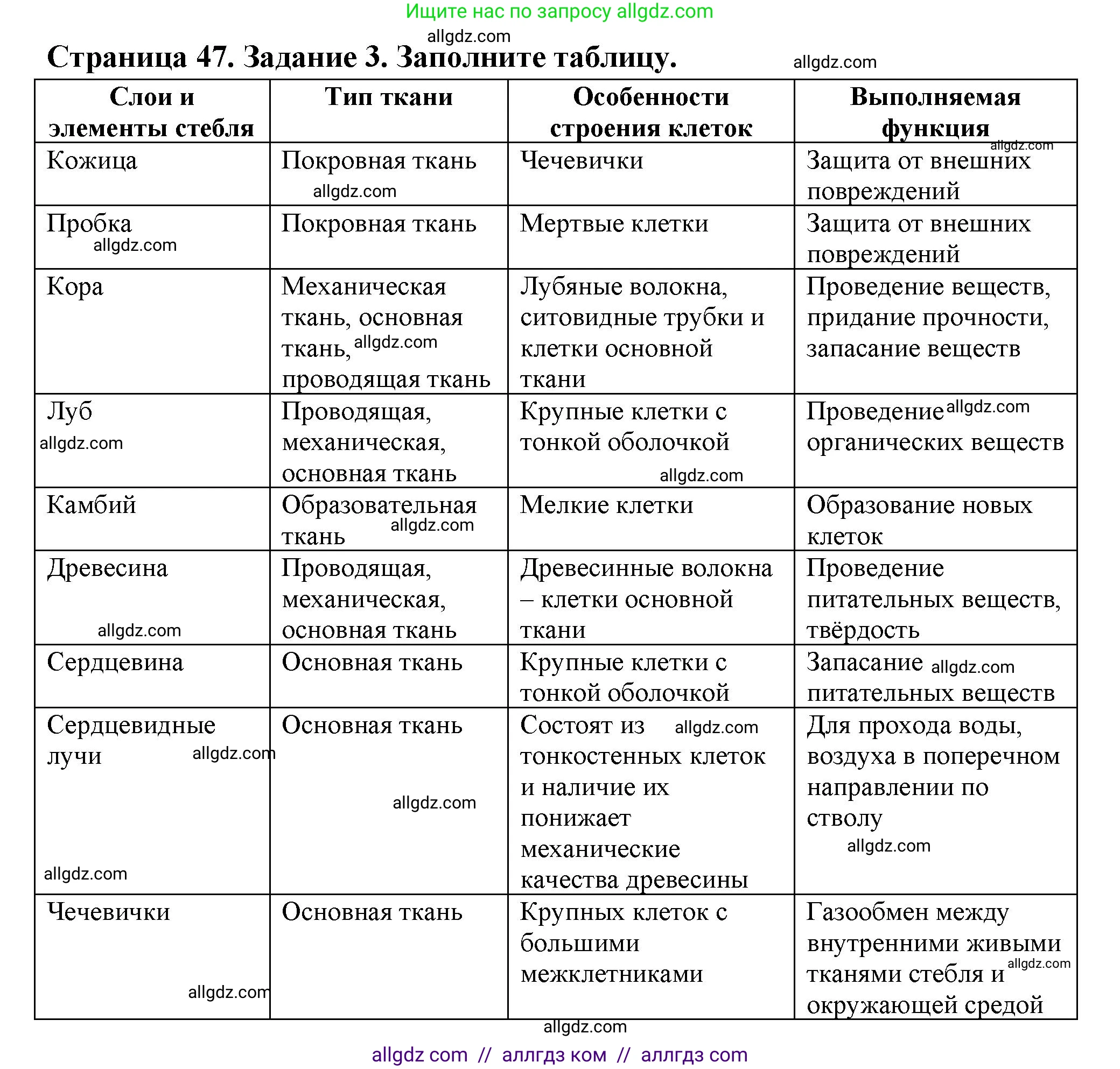 Биология, 6 класс рабочая тетрадь, авторы: Пасечник Владимир Васильевич, Суматохин Сергей Витальевич, Швецов Глеб Геннадьевич, Гапонюк Зоя Георгиевна, Косарькова Марина Викторовна, издательство Просвещение, Москва, 2023, белого цвета, страница 47, номер 3, Решение