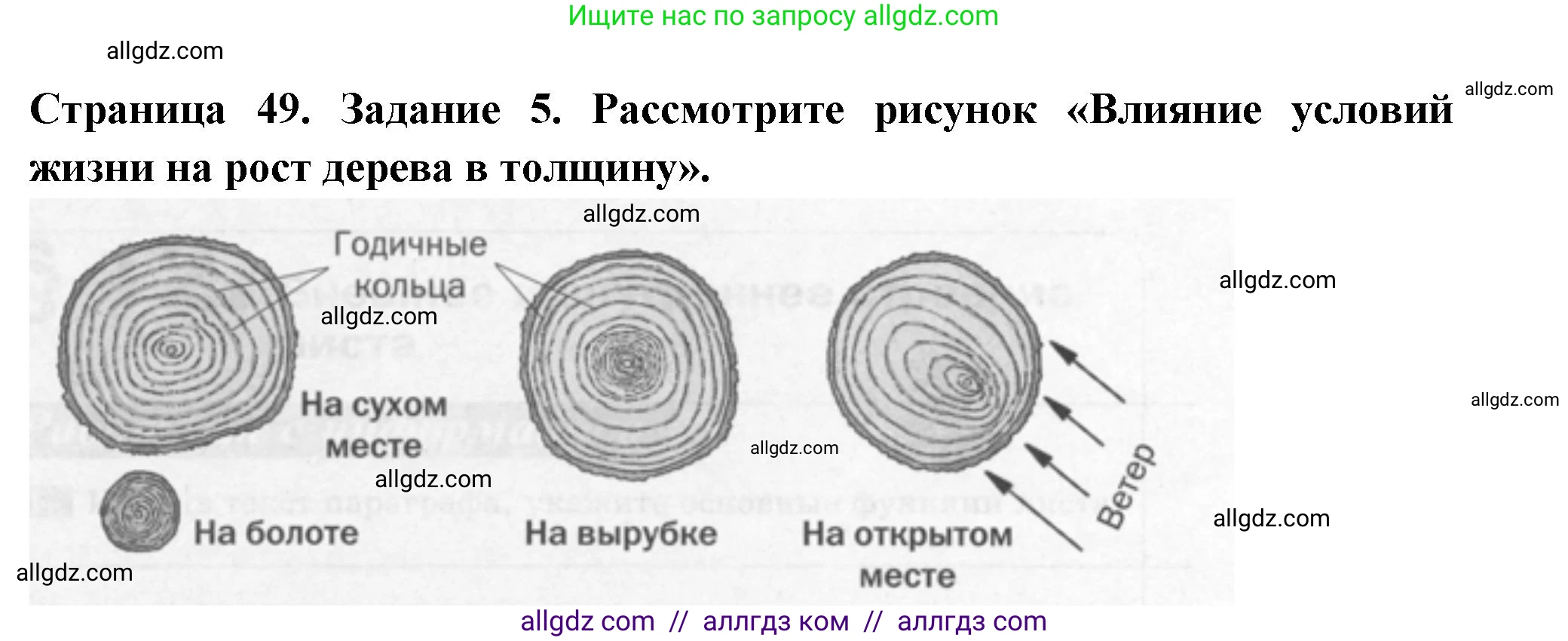 Биология, 6 класс рабочая тетрадь, авторы: Пасечник Владимир Васильевич, Суматохин Сергей Витальевич, Швецов Глеб Геннадьевич, Гапонюк Зоя Георгиевна, Косарькова Марина Викторовна, издательство Просвещение, Москва, 2023, белого цвета, страница 49, номер 5, Решение