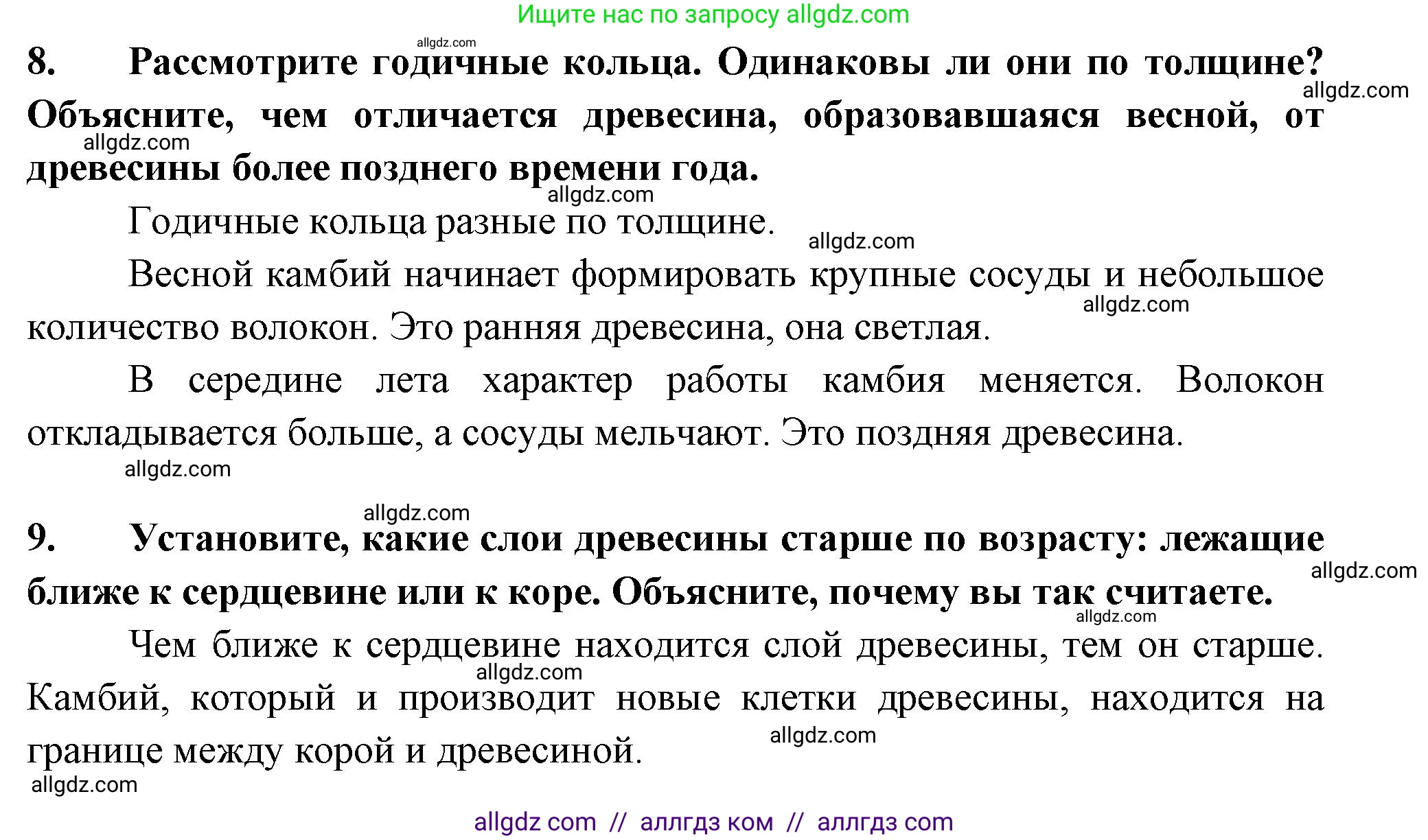 Биология, 6 класс рабочая тетрадь, авторы: Пасечник Владимир Васильевич, Суматохин Сергей Витальевич, Швецов Глеб Геннадьевич, Гапонюк Зоя Георгиевна, Косарькова Марина Викторовна, издательство Просвещение, Москва, 2023, белого цвета, страница 49, номер 6, Решение (продолжение 3)