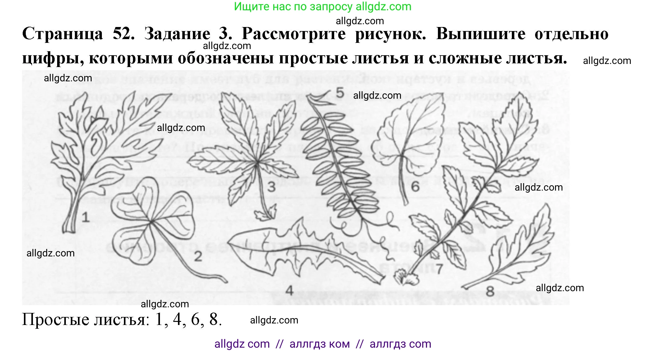 Биология, 6 класс рабочая тетрадь, авторы: Пасечник Владимир Васильевич, Суматохин Сергей Витальевич, Швецов Глеб Геннадьевич, Гапонюк Зоя Георгиевна, Косарькова Марина Викторовна, издательство Просвещение, Москва, 2023, белого цвета, страница 52, номер 3, Решение