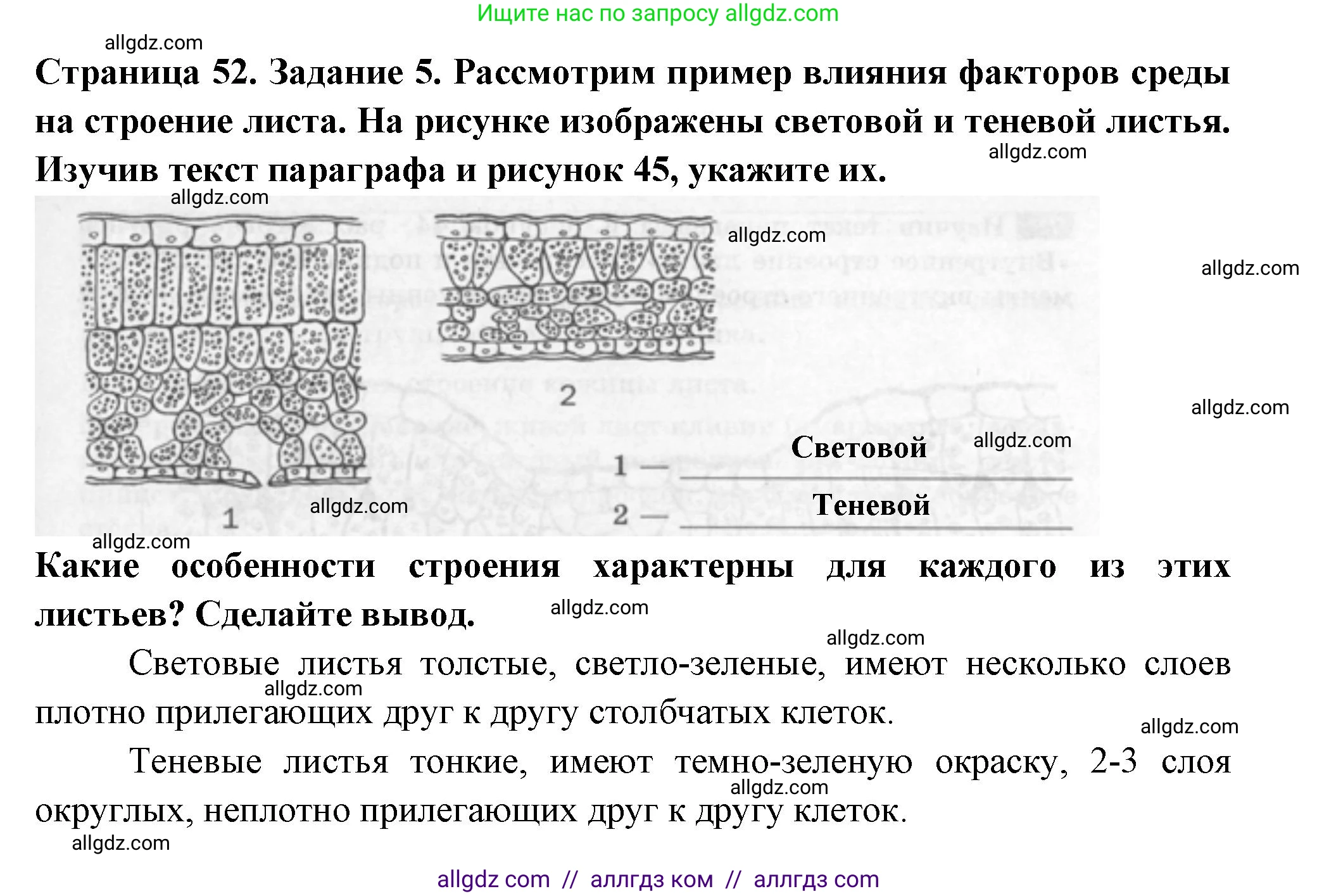 Биология, 6 класс рабочая тетрадь, авторы: Пасечник Владимир Васильевич, Суматохин Сергей Витальевич, Швецов Глеб Геннадьевич, Гапонюк Зоя Георгиевна, Косарькова Марина Викторовна, издательство Просвещение, Москва, 2023, белого цвета, страница 52, номер 5, Решение