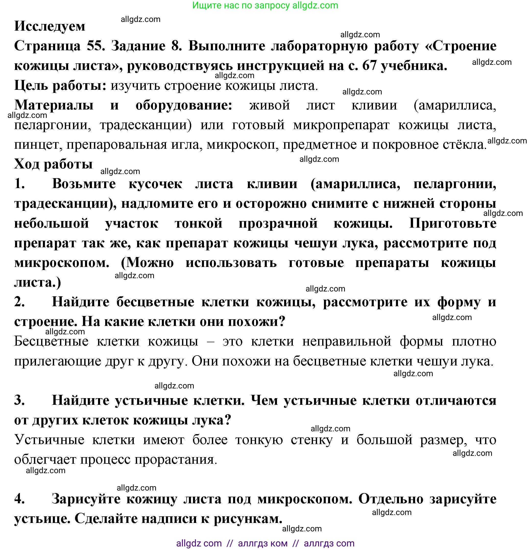 Биология, 6 класс рабочая тетрадь, авторы: Пасечник Владимир Васильевич, Суматохин Сергей Витальевич, Швецов Глеб Геннадьевич, Гапонюк Зоя Георгиевна, Косарькова Марина Викторовна, издательство Просвещение, Москва, 2023, белого цвета, страница 55, номер 8, Решение