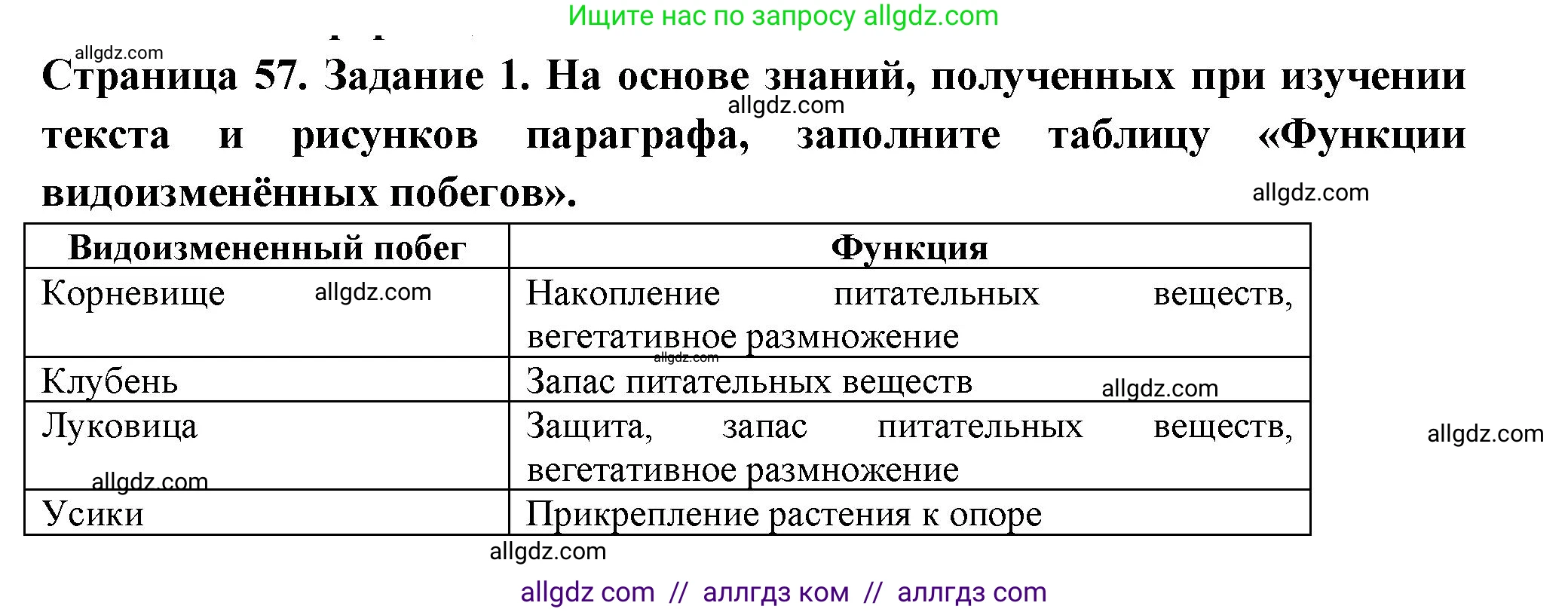 Биология, 6 класс рабочая тетрадь, авторы: Пасечник Владимир Васильевич, Суматохин Сергей Витальевич, Швецов Глеб Геннадьевич, Гапонюк Зоя Георгиевна, Косарькова Марина Викторовна, издательство Просвещение, Москва, 2023, белого цвета, страница 57, номер 1, Решение