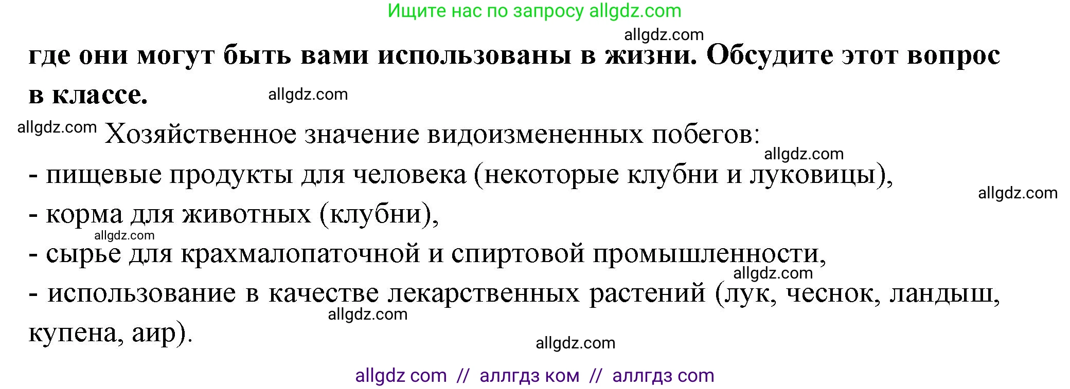 Биология, 6 класс рабочая тетрадь, авторы: Пасечник Владимир Васильевич, Суматохин Сергей Витальевич, Швецов Глеб Геннадьевич, Гапонюк Зоя Георгиевна, Косарькова Марина Викторовна, издательство Просвещение, Москва, 2023, белого цвета, страница 58, номер 3, Решение (продолжение 2)
