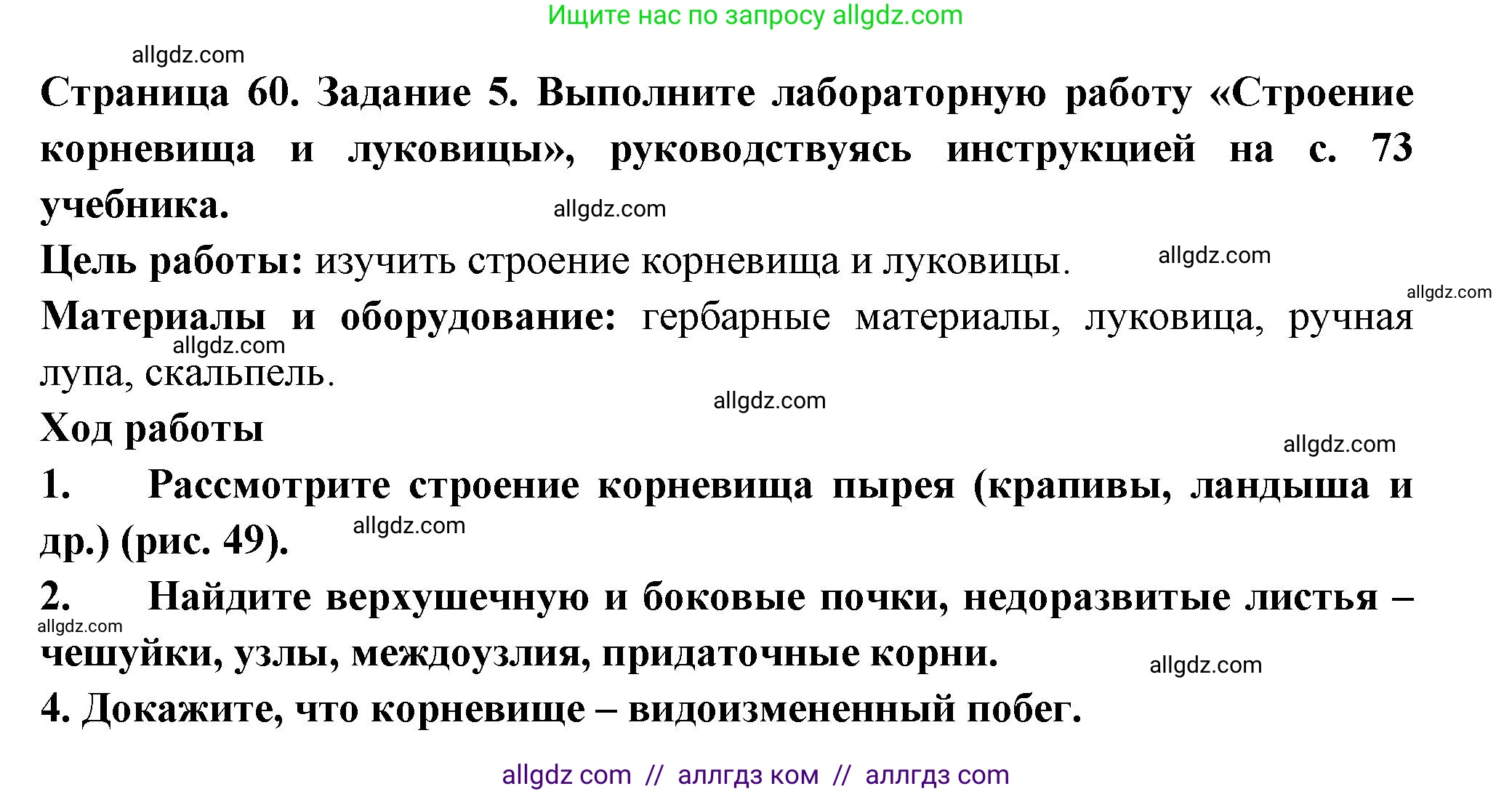 Биология, 6 класс рабочая тетрадь, авторы: Пасечник Владимир Васильевич, Суматохин Сергей Витальевич, Швецов Глеб Геннадьевич, Гапонюк Зоя Георгиевна, Косарькова Марина Викторовна, издательство Просвещение, Москва, 2023, белого цвета, страница 60, номер 5, Решение