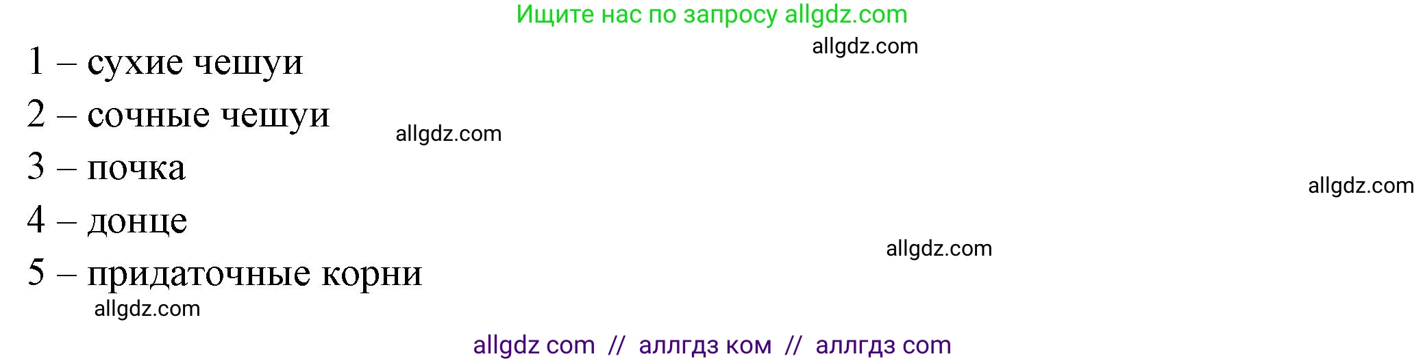 Биология, 6 класс рабочая тетрадь, авторы: Пасечник Владимир Васильевич, Суматохин Сергей Витальевич, Швецов Глеб Геннадьевич, Гапонюк Зоя Георгиевна, Косарькова Марина Викторовна, издательство Просвещение, Москва, 2023, белого цвета, страница 60, номер 5, Решение (продолжение 3)