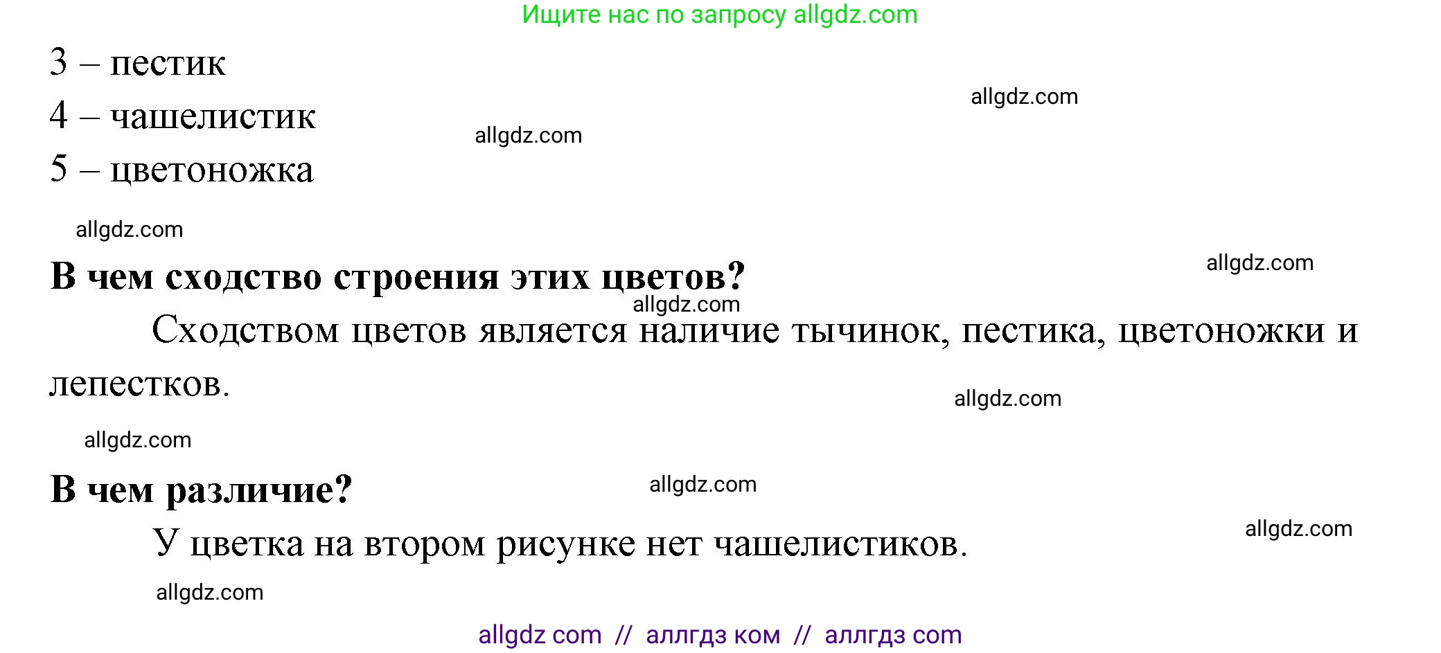 Биология, 6 класс рабочая тетрадь, авторы: Пасечник Владимир Васильевич, Суматохин Сергей Витальевич, Швецов Глеб Геннадьевич, Гапонюк Зоя Георгиевна, Косарькова Марина Викторовна, издательство Просвещение, Москва, 2023, белого цвета, страница 62, номер 2, Решение (продолжение 2)