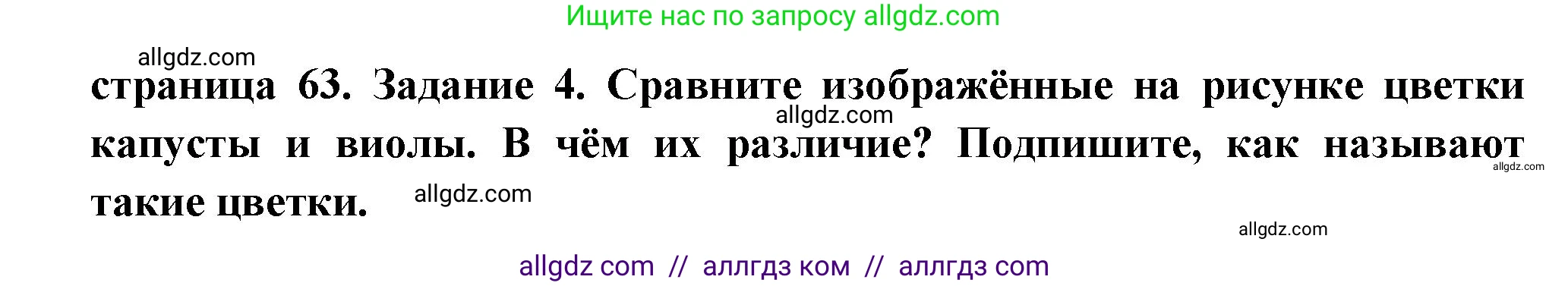 Биология, 6 класс рабочая тетрадь, авторы: Пасечник Владимир Васильевич, Суматохин Сергей Витальевич, Швецов Глеб Геннадьевич, Гапонюк Зоя Георгиевна, Косарькова Марина Викторовна, издательство Просвещение, Москва, 2023, белого цвета, страница 63, номер 4, Решение