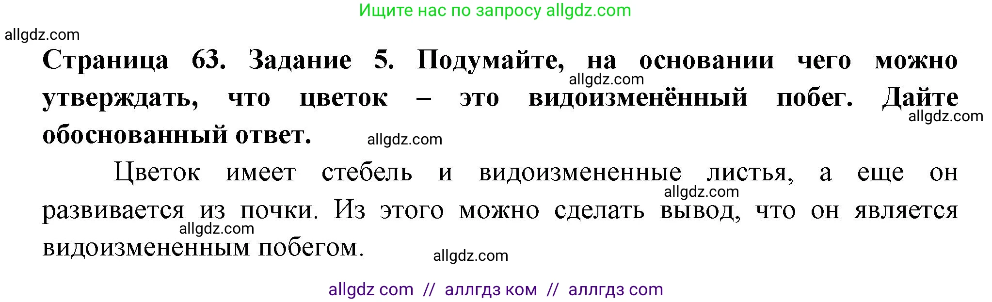 Биология, 6 класс рабочая тетрадь, авторы: Пасечник Владимир Васильевич, Суматохин Сергей Витальевич, Швецов Глеб Геннадьевич, Гапонюк Зоя Георгиевна, Косарькова Марина Викторовна, издательство Просвещение, Москва, 2023, белого цвета, страница 63, номер 5, Решение