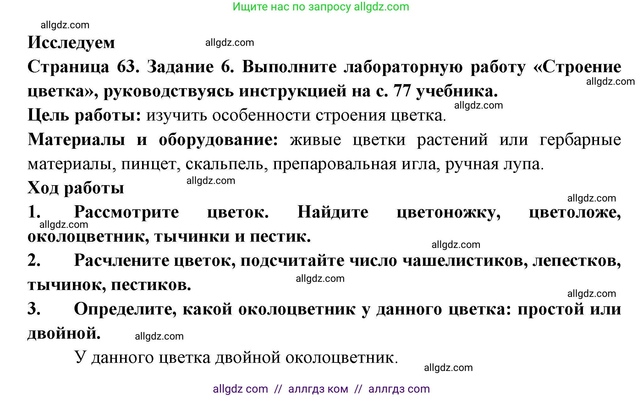 Биология, 6 класс рабочая тетрадь, авторы: Пасечник Владимир Васильевич, Суматохин Сергей Витальевич, Швецов Глеб Геннадьевич, Гапонюк Зоя Георгиевна, Косарькова Марина Викторовна, издательство Просвещение, Москва, 2023, белого цвета, страница 63, номер 6, Решение