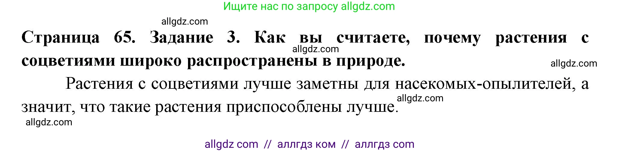 Биология, 6 класс рабочая тетрадь, авторы: Пасечник Владимир Васильевич, Суматохин Сергей Витальевич, Швецов Глеб Геннадьевич, Гапонюк Зоя Георгиевна, Косарькова Марина Викторовна, издательство Просвещение, Москва, 2023, белого цвета, страница 65, номер 3, Решение