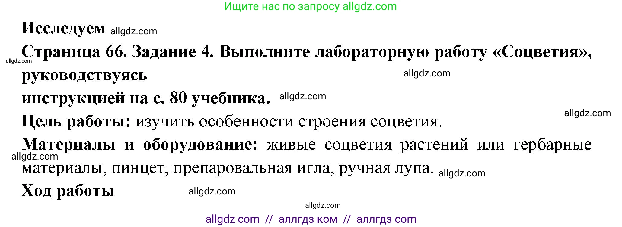 Биология, 6 класс рабочая тетрадь, авторы: Пасечник Владимир Васильевич, Суматохин Сергей Витальевич, Швецов Глеб Геннадьевич, Гапонюк Зоя Георгиевна, Косарькова Марина Викторовна, издательство Просвещение, Москва, 2023, белого цвета, страница 66, номер 4, Решение