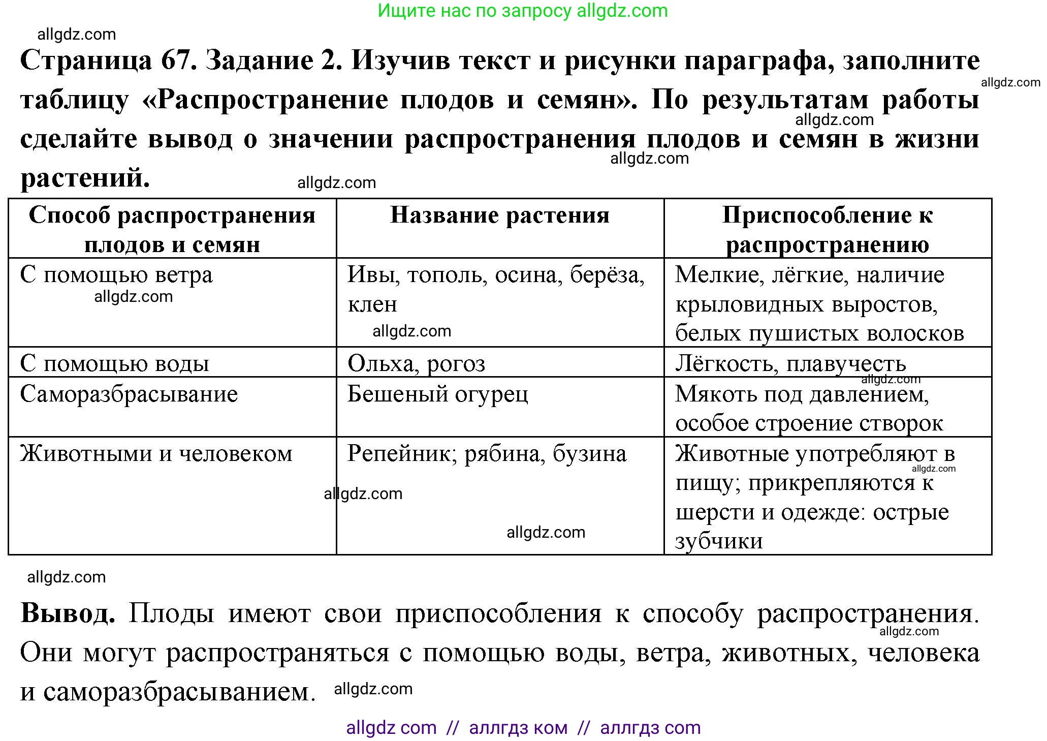 Биология, 6 класс рабочая тетрадь, авторы: Пасечник Владимир Васильевич, Суматохин Сергей Витальевич, Швецов Глеб Геннадьевич, Гапонюк Зоя Георгиевна, Косарькова Марина Викторовна, издательство Просвещение, Москва, 2023, белого цвета, страница 67, номер 2, Решение