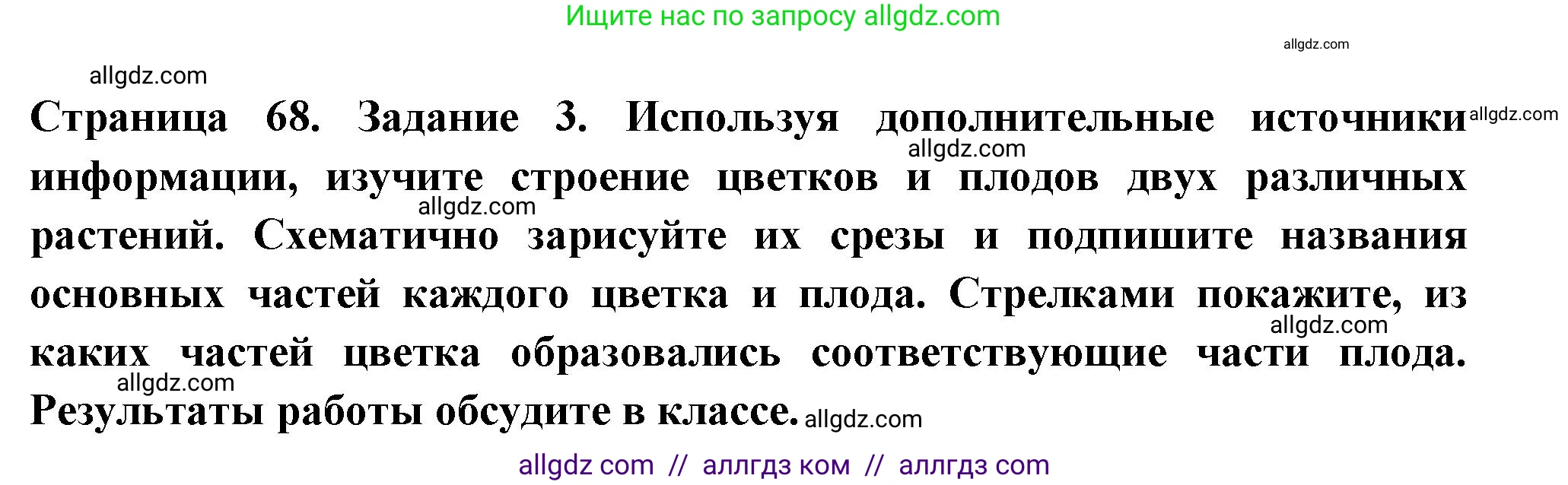 Биология, 6 класс рабочая тетрадь, авторы: Пасечник Владимир Васильевич, Суматохин Сергей Витальевич, Швецов Глеб Геннадьевич, Гапонюк Зоя Георгиевна, Косарькова Марина Викторовна, издательство Просвещение, Москва, 2023, белого цвета, страница 68, номер 3, Решение