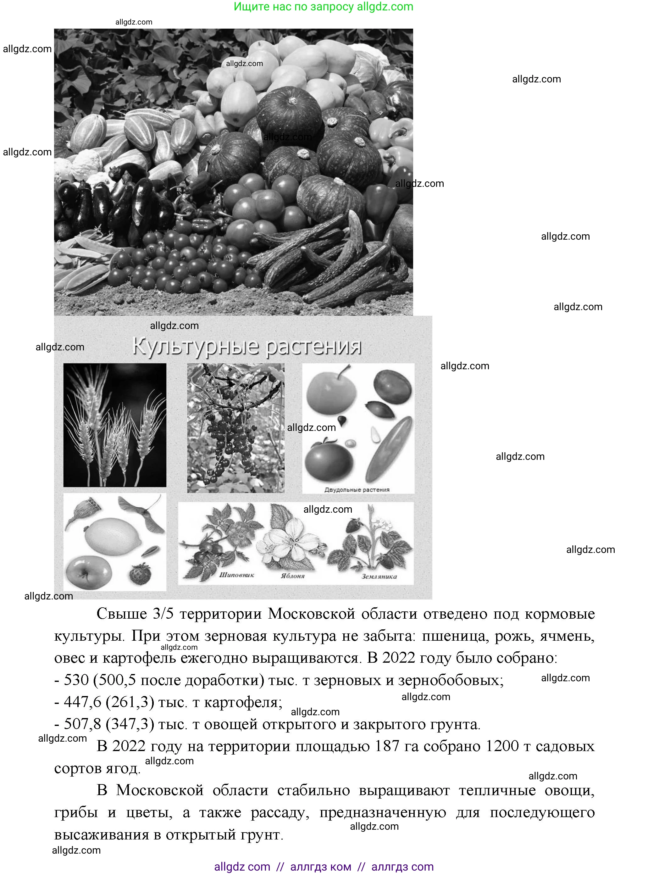 Биология, 6 класс рабочая тетрадь, авторы: Пасечник Владимир Васильевич, Суматохин Сергей Витальевич, Швецов Глеб Геннадьевич, Гапонюк Зоя Георгиевна, Косарькова Марина Викторовна, издательство Просвещение, Москва, 2023, белого цвета, страница 68, номер 4, Решение (продолжение 2)
