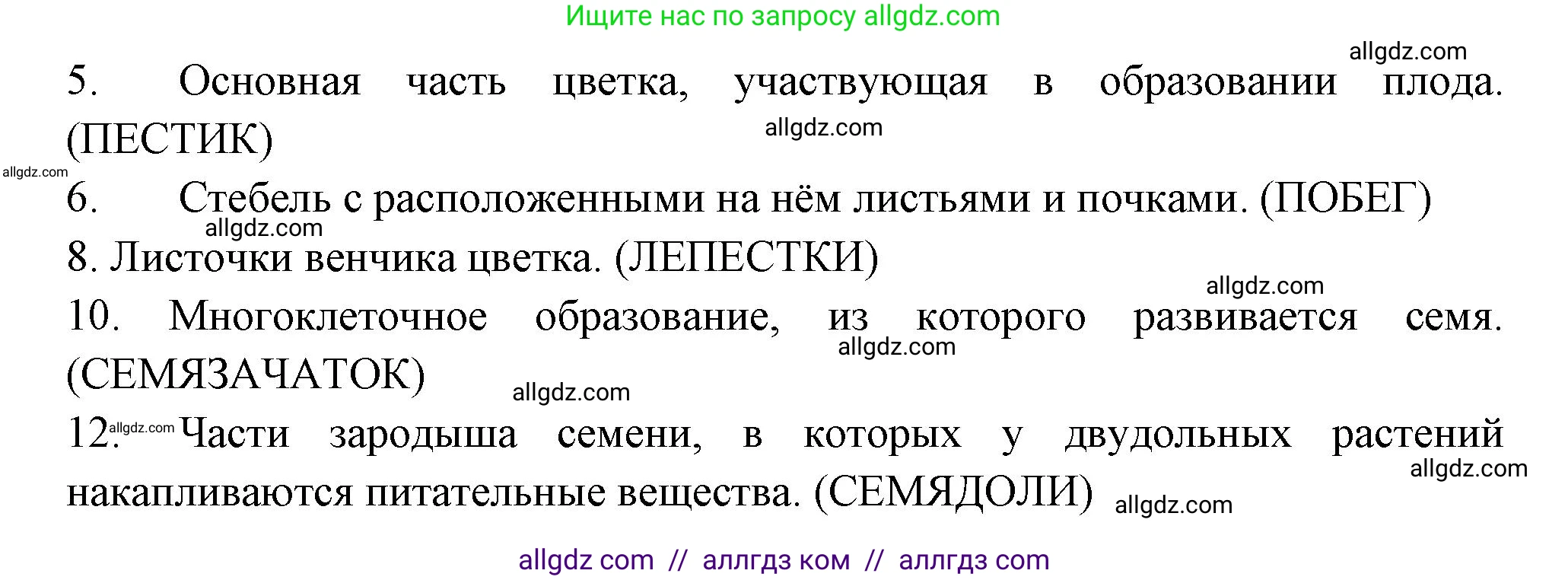 Биология, 6 класс рабочая тетрадь, авторы: Пасечник Владимир Васильевич, Суматохин Сергей Витальевич, Швецов Глеб Геннадьевич, Гапонюк Зоя Георгиевна, Косарькова Марина Викторовна, издательство Просвещение, Москва, 2023, белого цвета, страница 70, номер 6, Решение (продолжение 3)