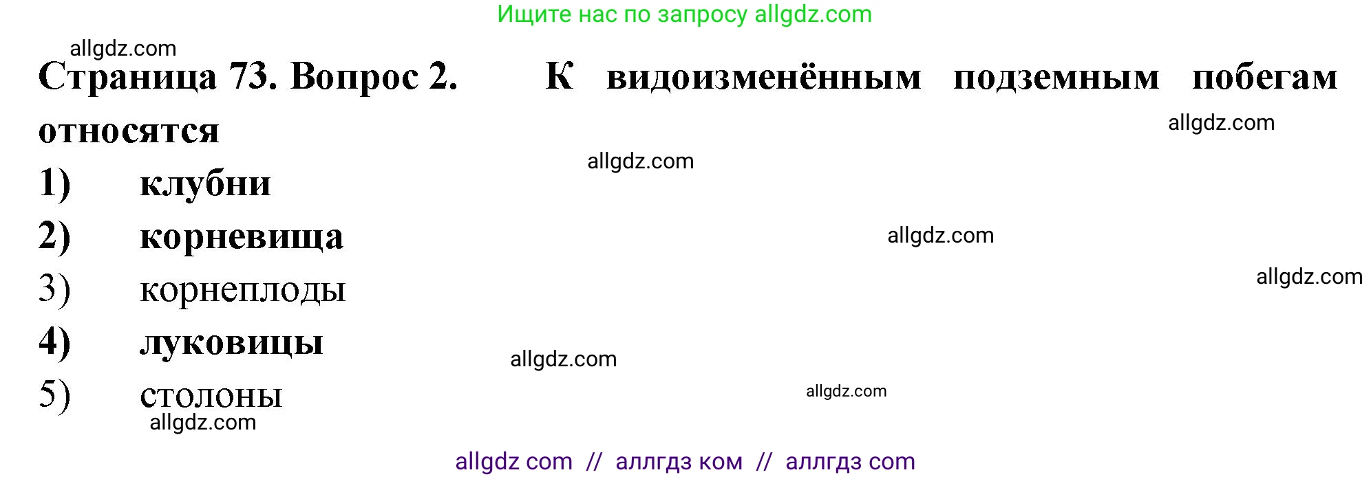 Биология, 6 класс рабочая тетрадь, авторы: Пасечник Владимир Васильевич, Суматохин Сергей Витальевич, Швецов Глеб Геннадьевич, Гапонюк Зоя Георгиевна, Косарькова Марина Викторовна, издательство Просвещение, Москва, 2023, белого цвета, страница 73, номер 2, Решение