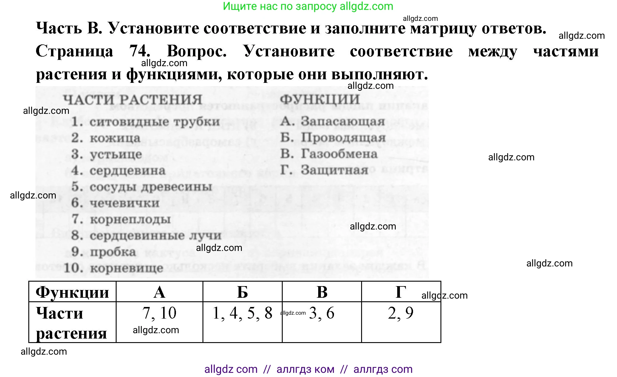 Биология, 6 класс рабочая тетрадь, авторы: Пасечник Владимир Васильевич, Суматохин Сергей Витальевич, Швецов Глеб Геннадьевич, Гапонюк Зоя Георгиевна, Косарькова Марина Викторовна, издательство Просвещение, Москва, 2023, белого цвета, страница 74, номер 1, Решение